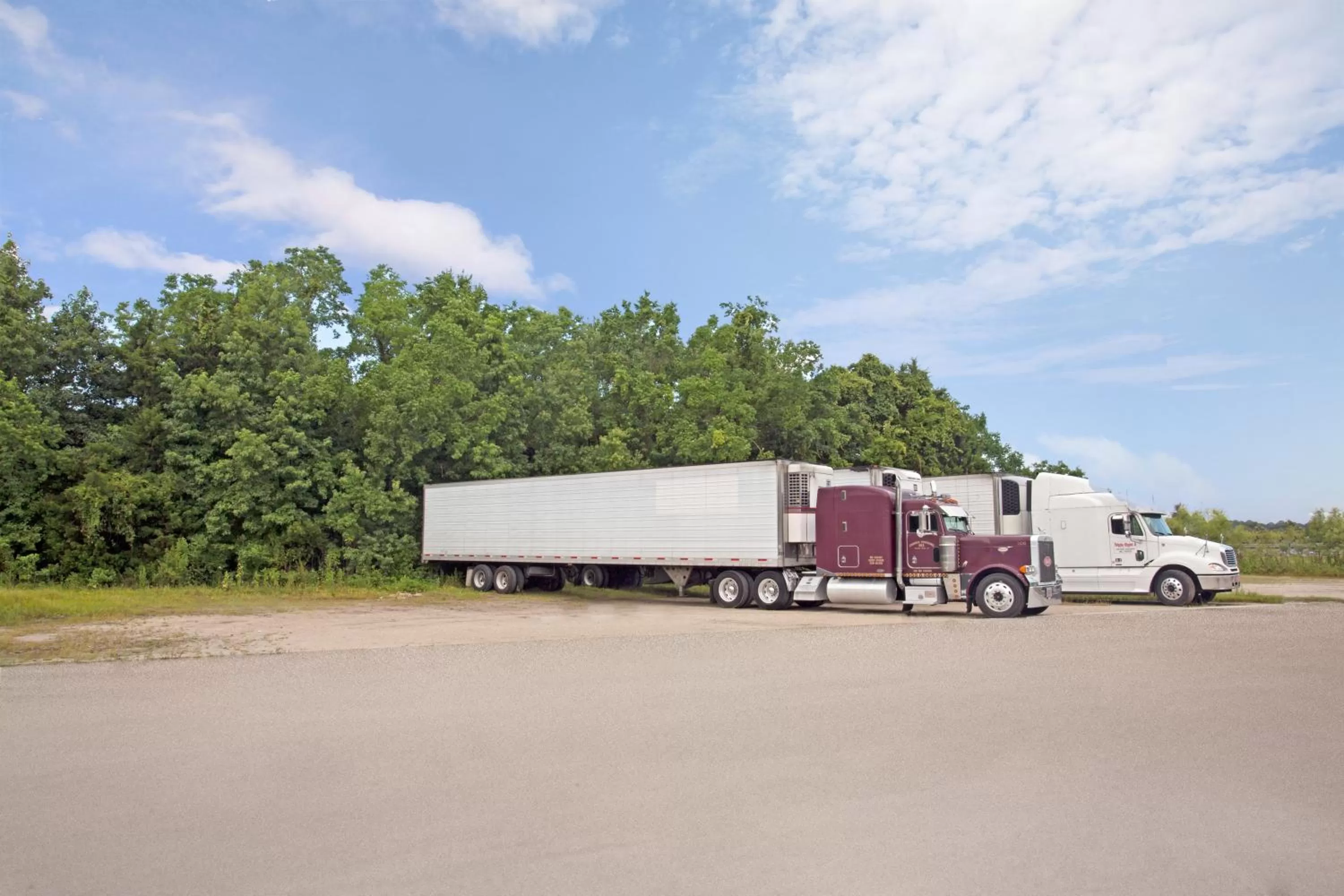 Day in Smart Stay Inn - Saint Augustine