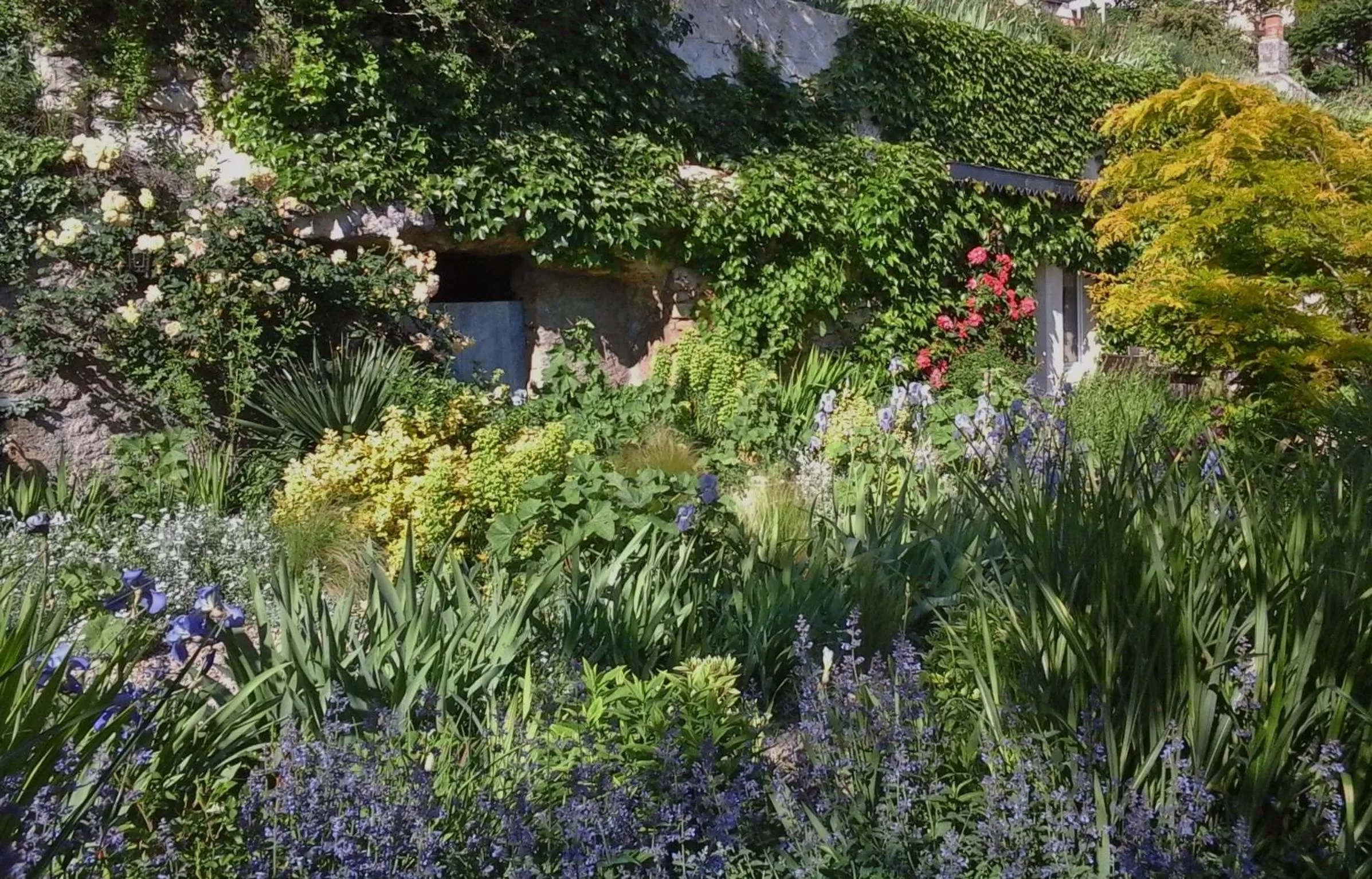 Garden view in Troglodelice
