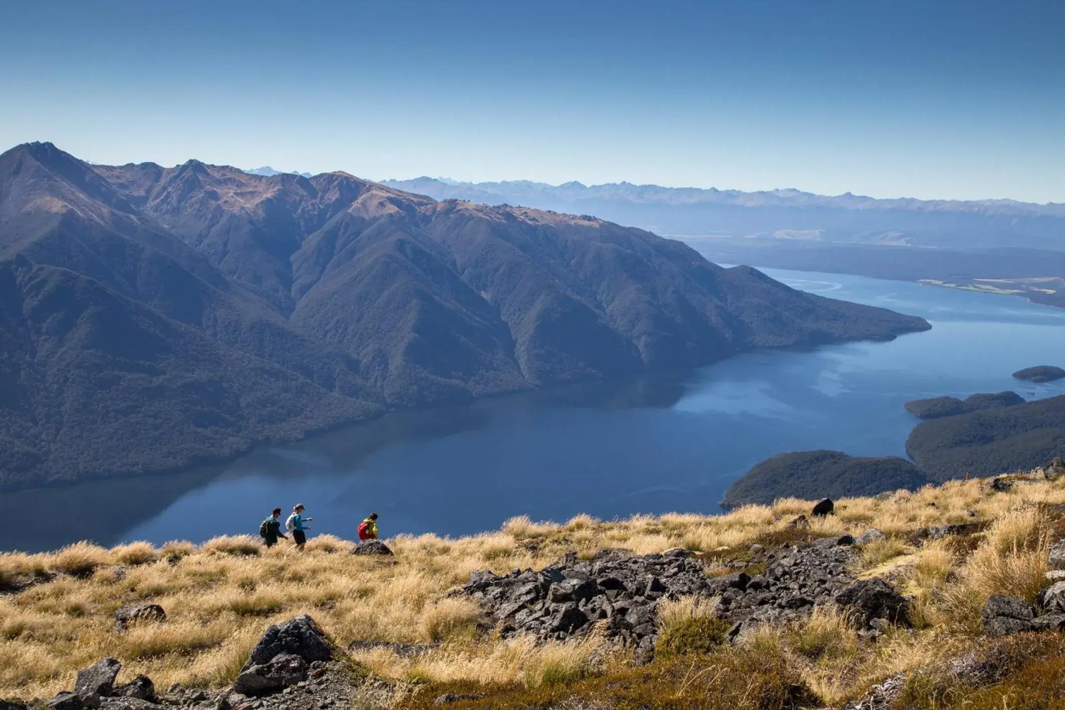 Winter in Fiordland Lodge