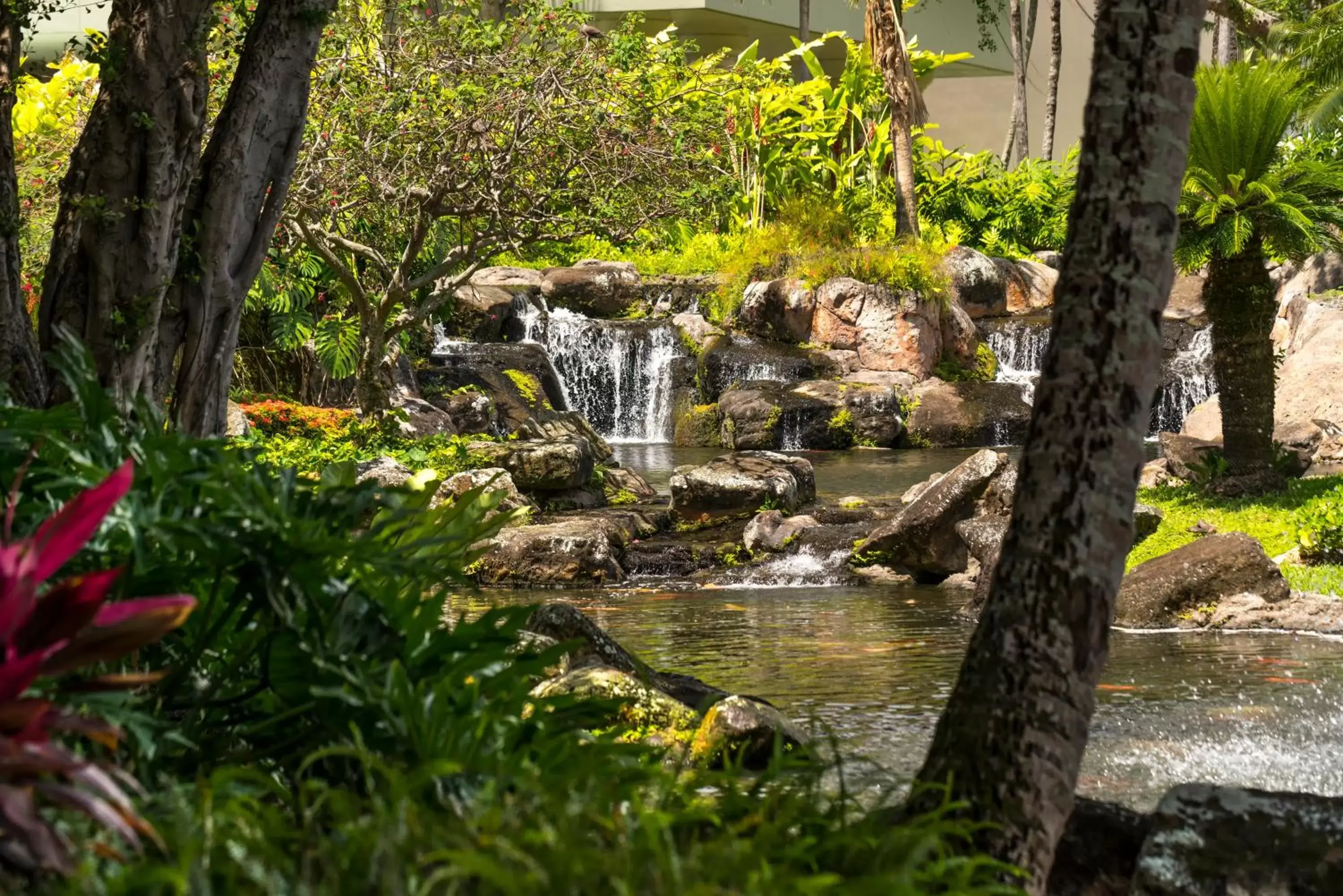 Garden in The Royal Sonesta Kauai Resort Lihue