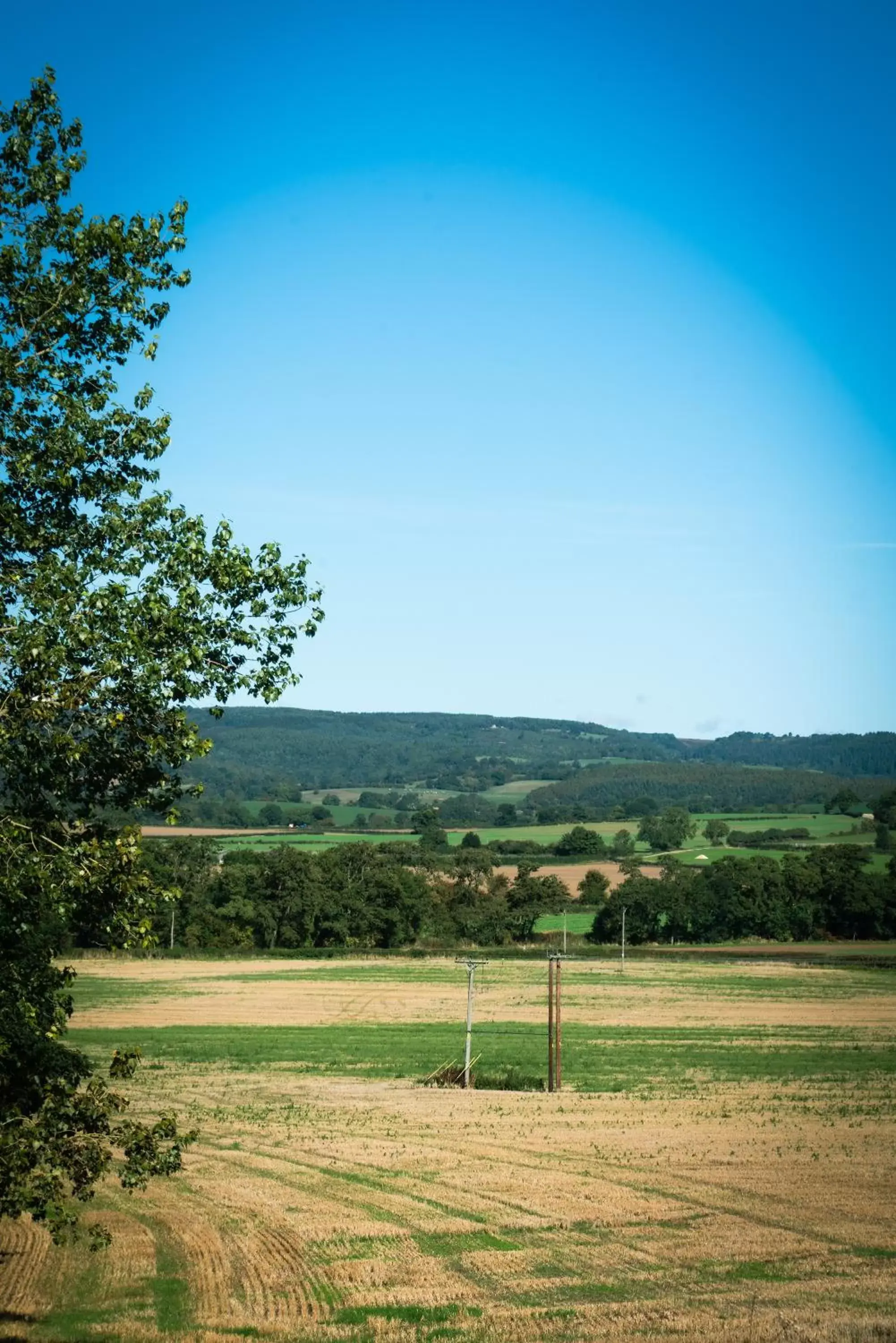 View (from property/room) in Plum and Partridge Husthwaite