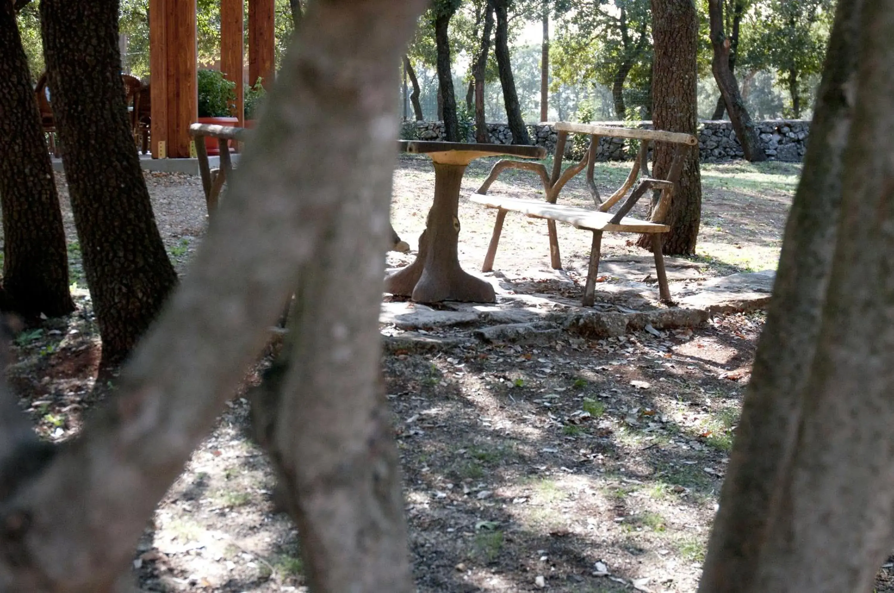 Garden in Agriturismo Fasano