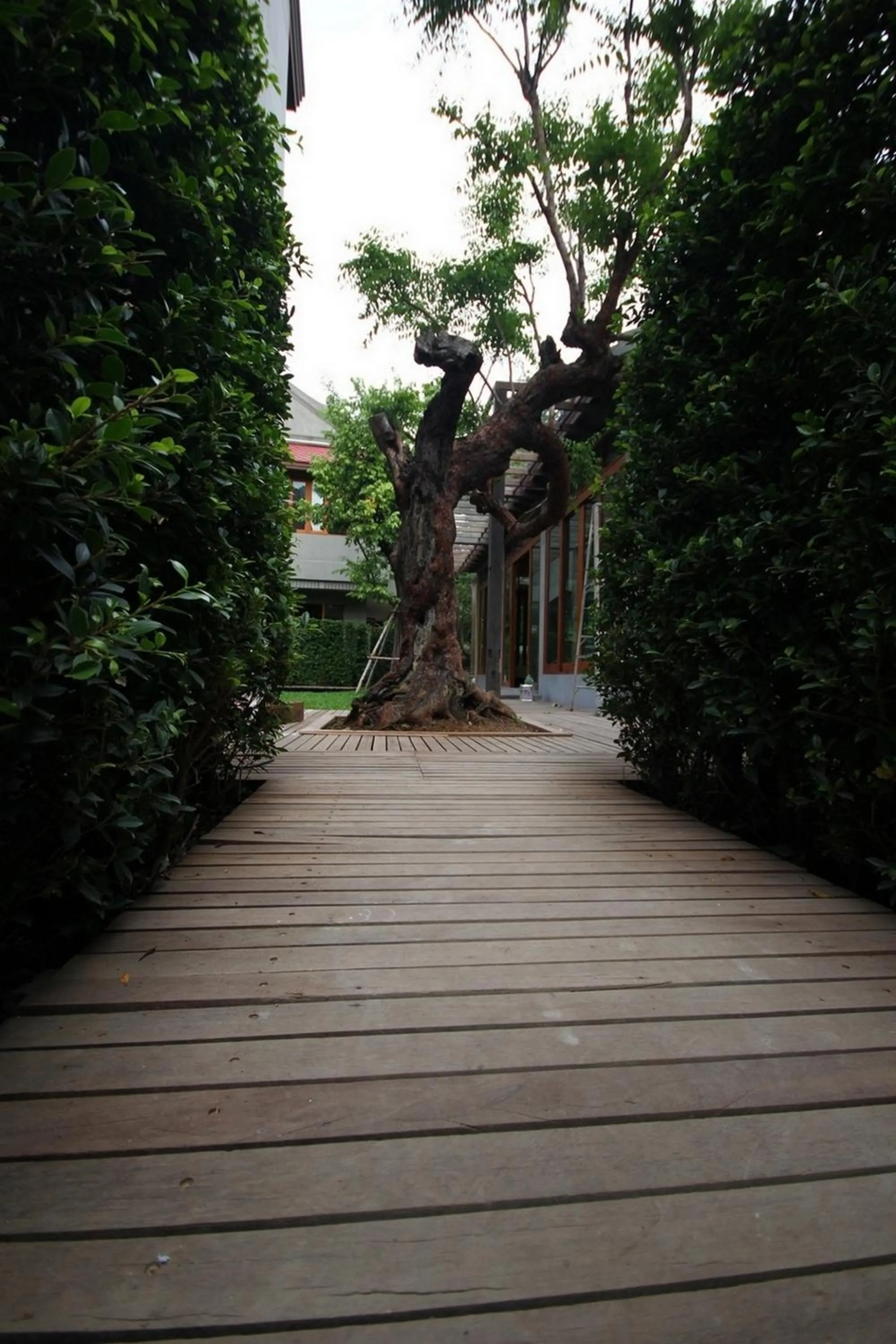 Natural landscape in Chu Hotel