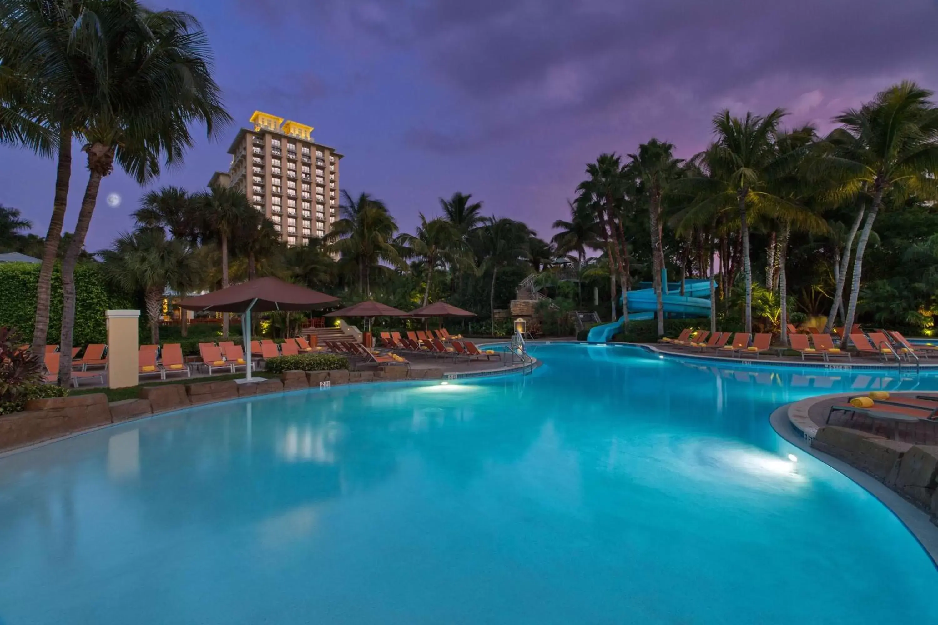 Pool view, Swimming Pool in Hyatt Regency Coconut Point Resort & Spa Near Naples