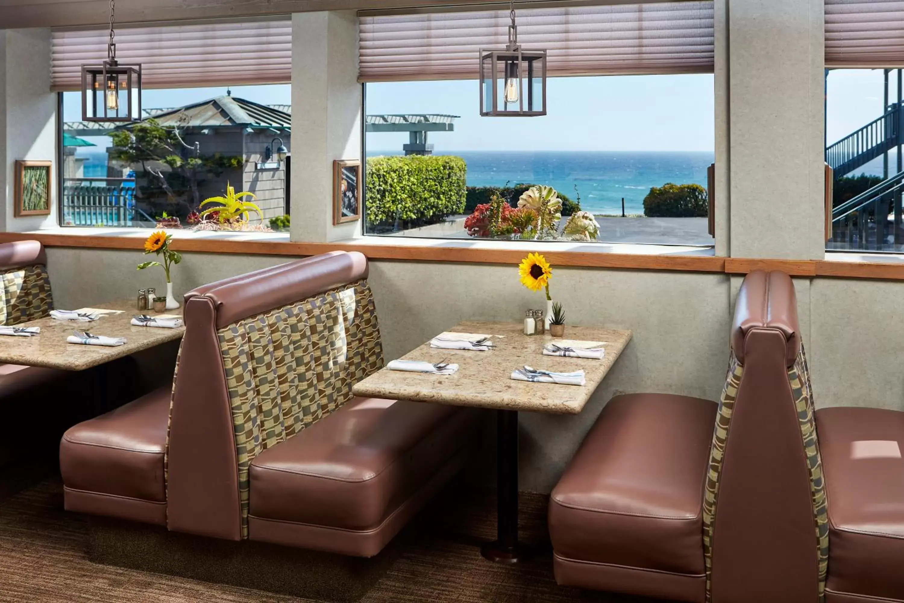 Restaurant/places to eat in Cavalier Oceanfront Resort Restaurant/places to eat in Cavalier Oceanfront Resort