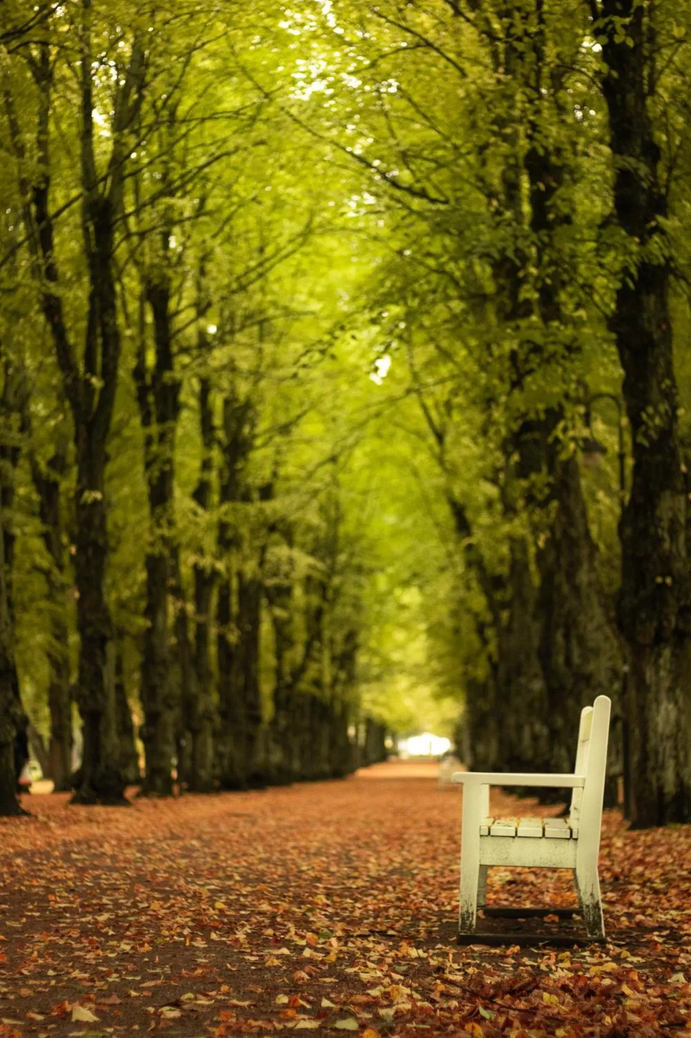 Nearby landmark in Clarion Hotel Winn