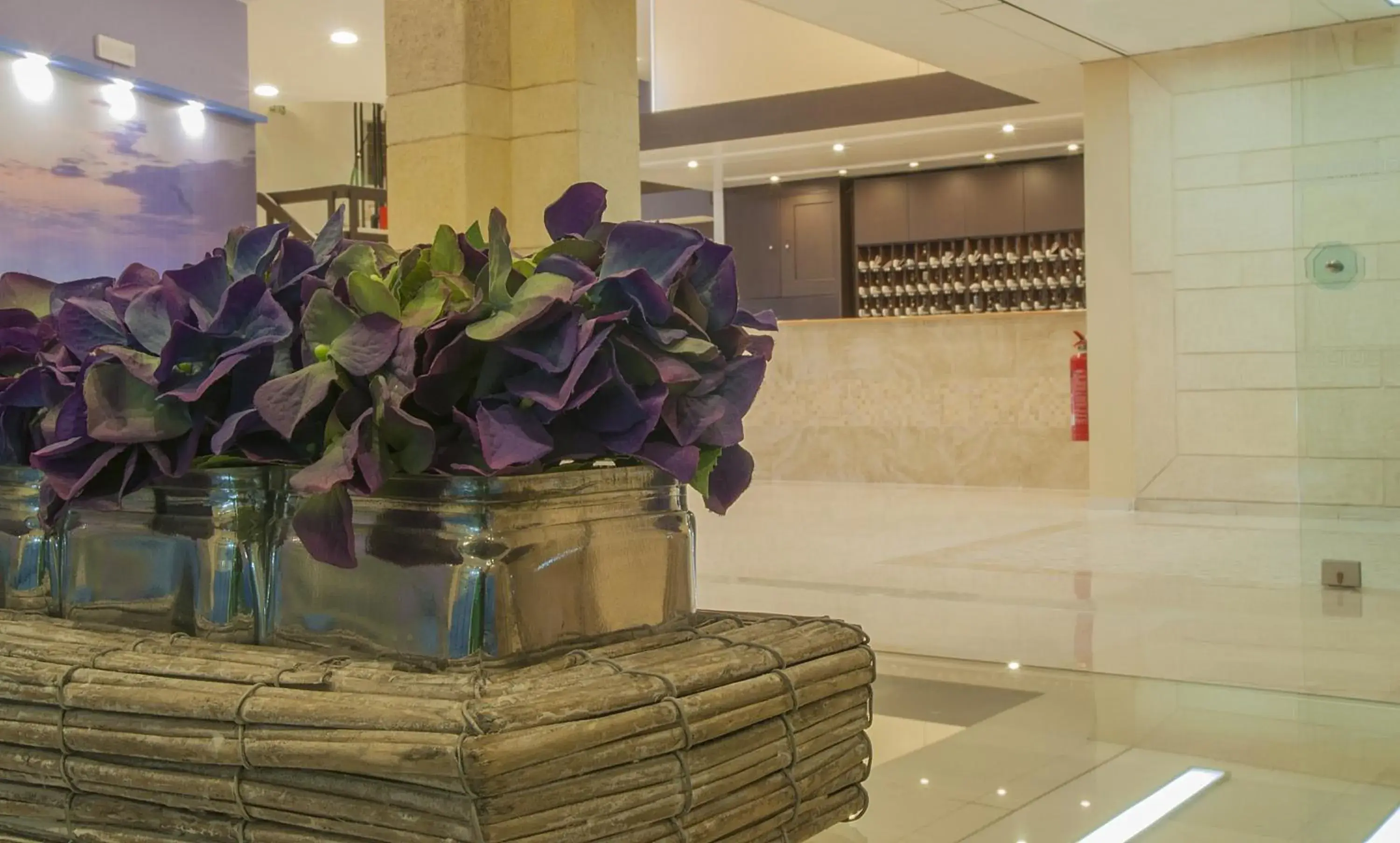 Lobby or reception in Europa Hotel Lobby or reception in Europa Hotel