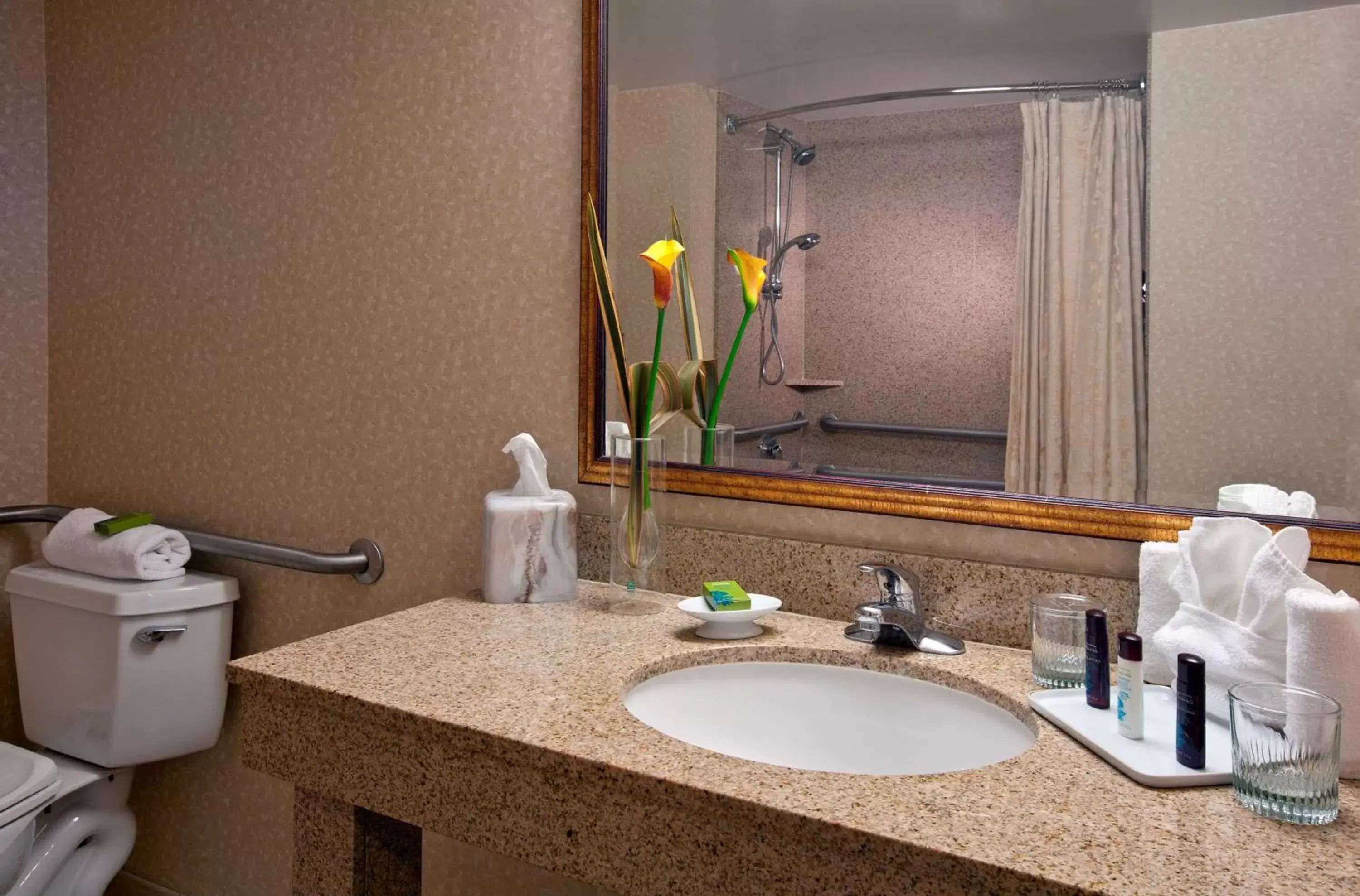 Bathroom in Embassy Suites by Hilton Sacramento Riverfront Promenade