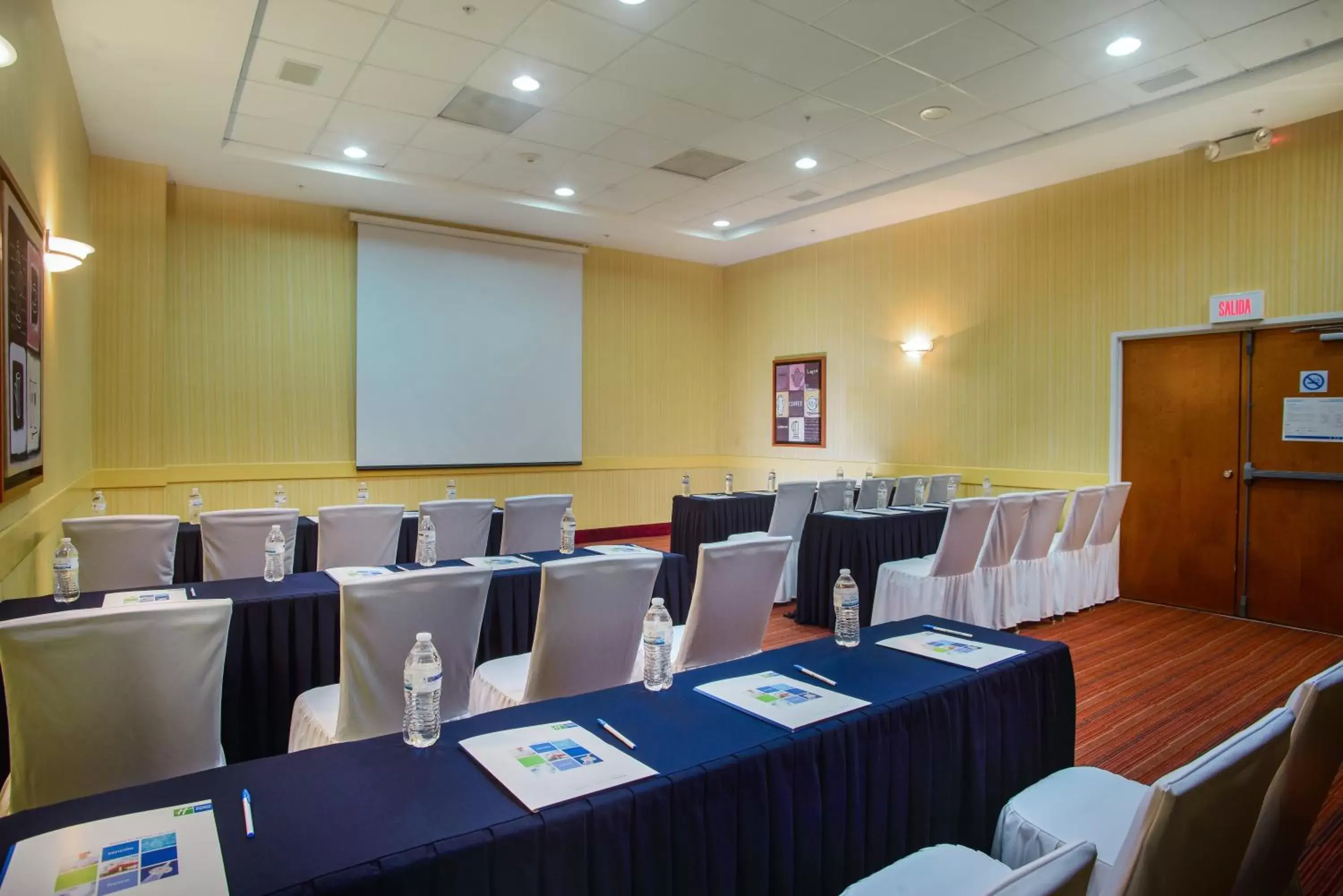 Meeting/conference room in Holiday Inn Express Tapachula, an IHG Hotel