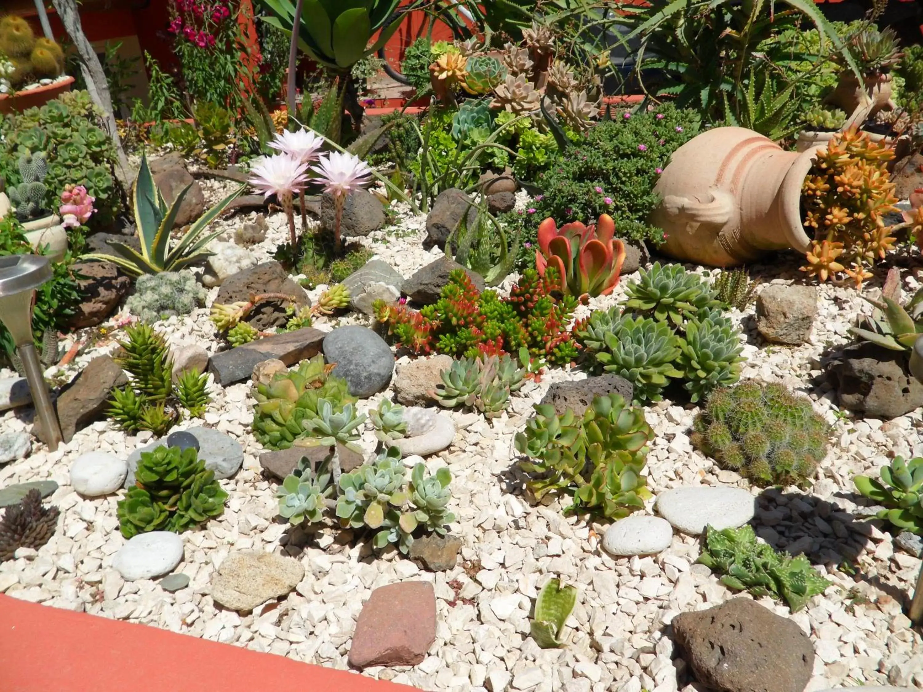 Garden, Bird's-eye View in B&B Il Mirto