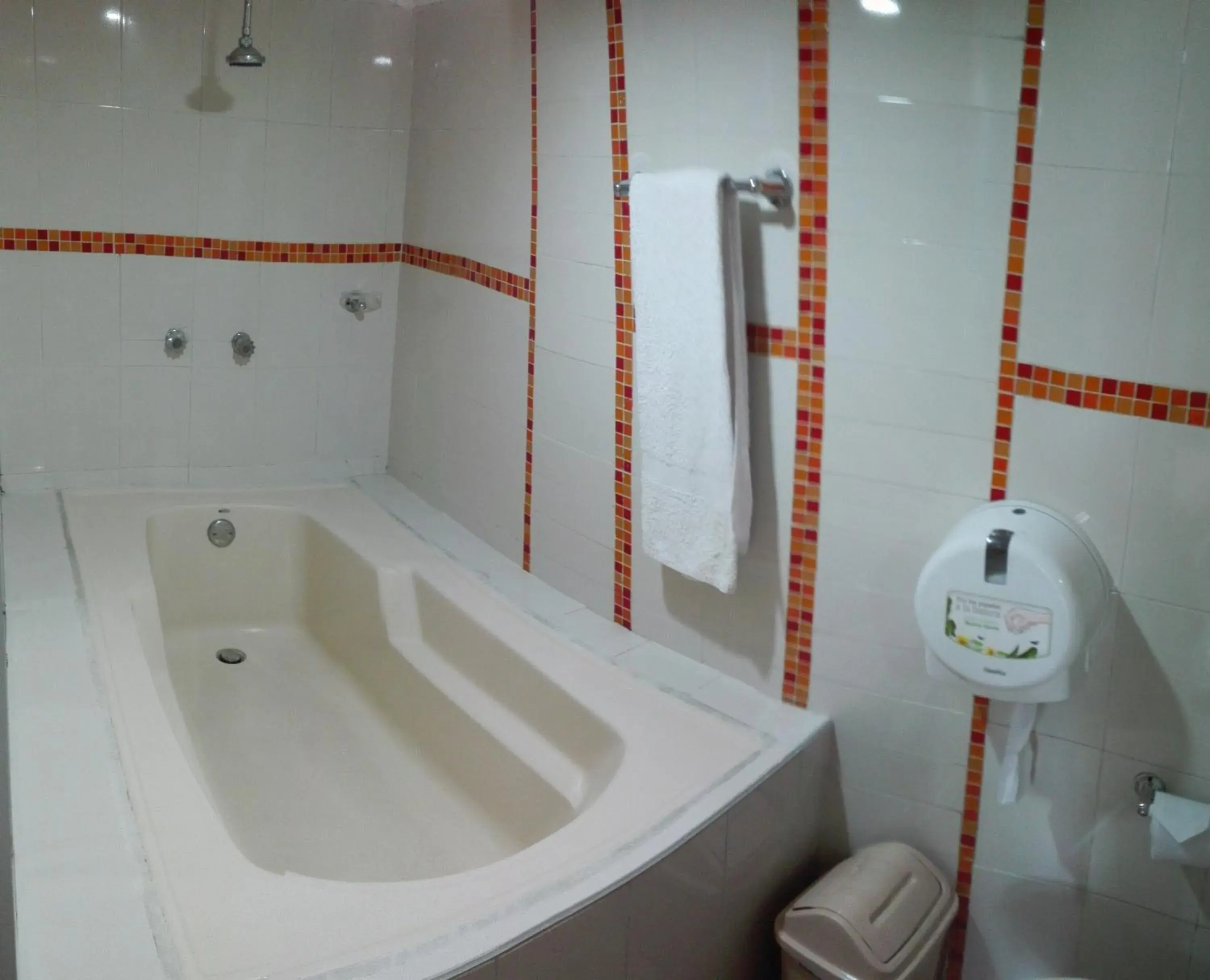 Shower, Bathroom in Hotel Popayan Plaza