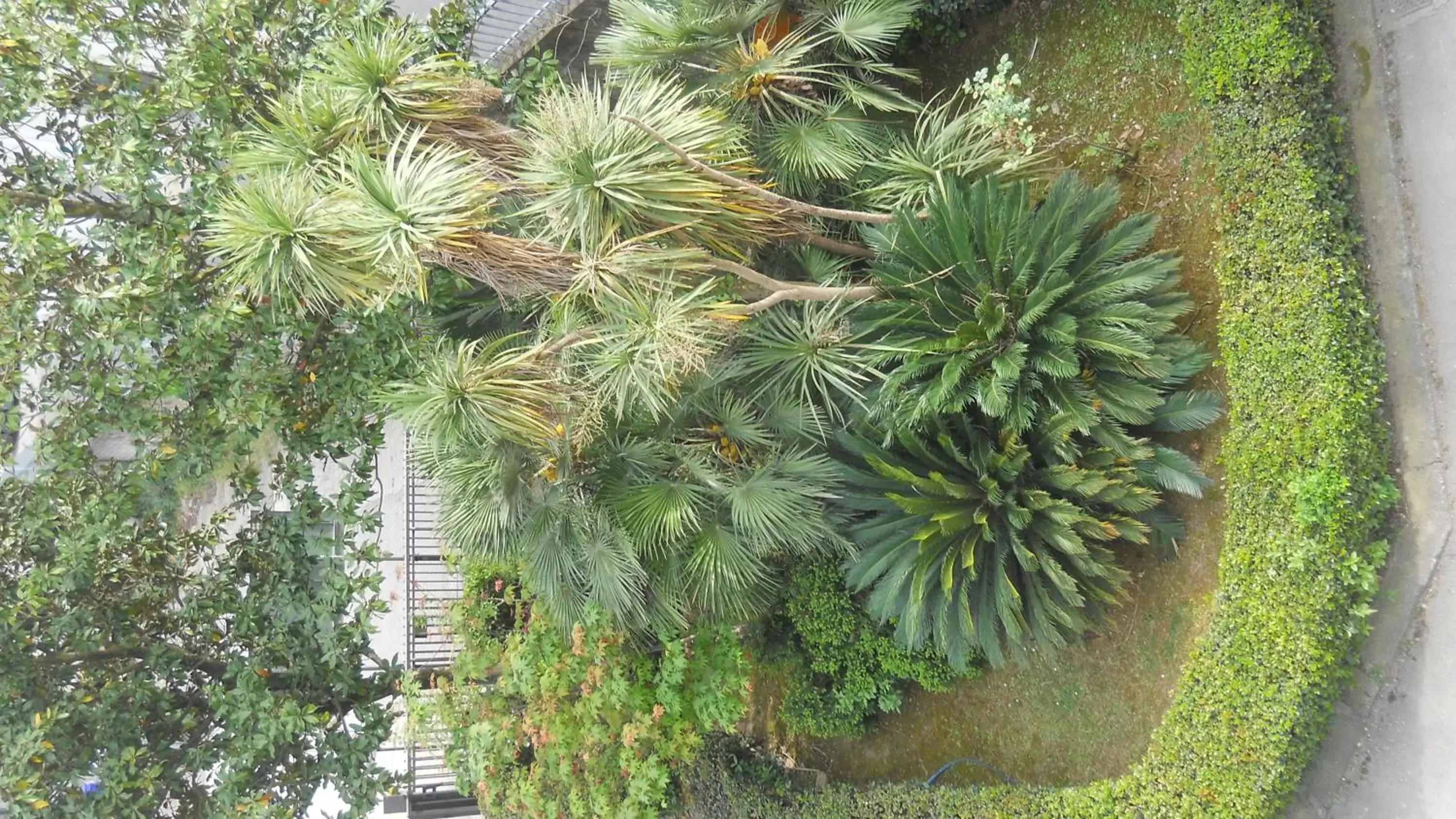 Bird's eye view, Garden in Hotel Diana