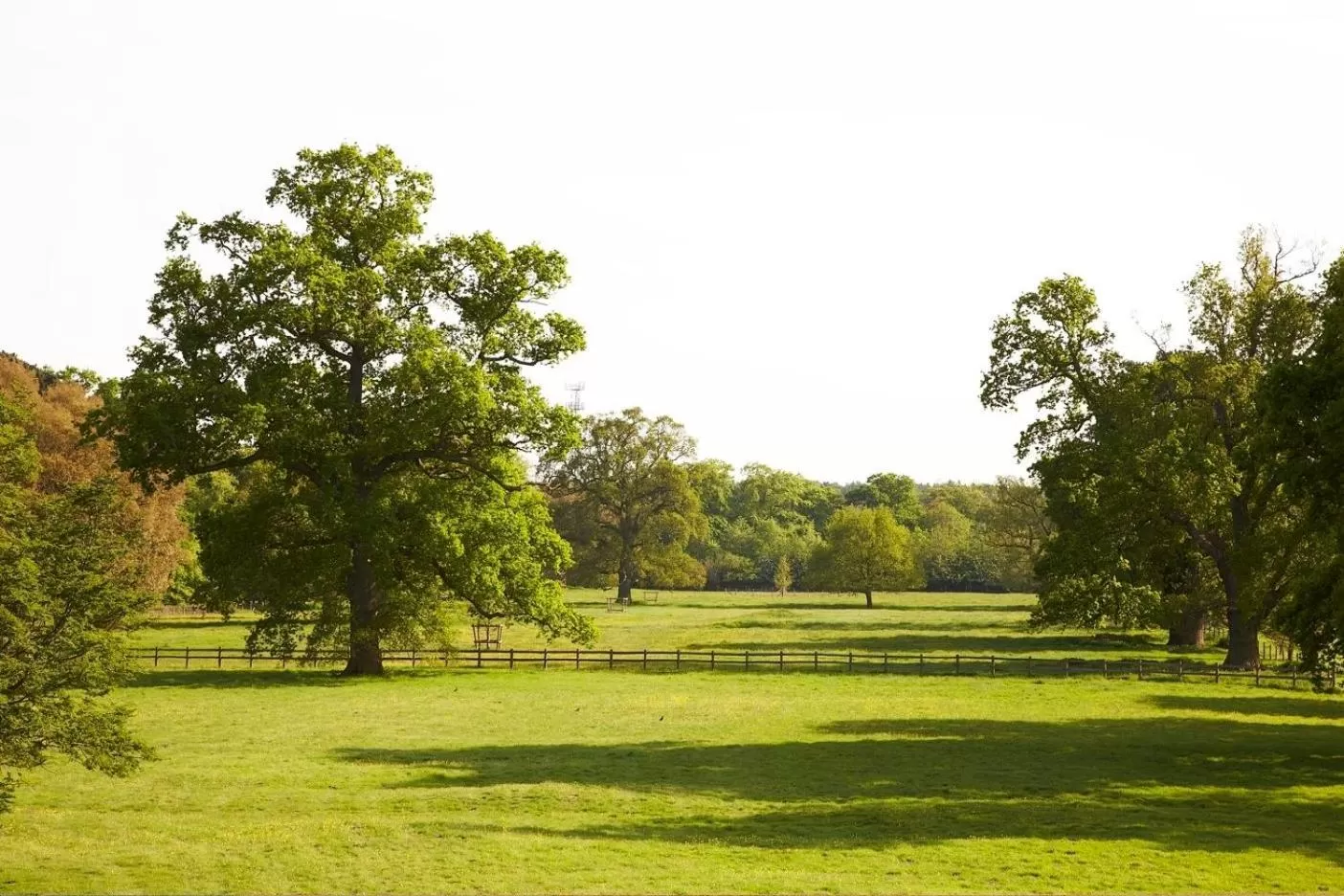 Garden in Milton Hill House