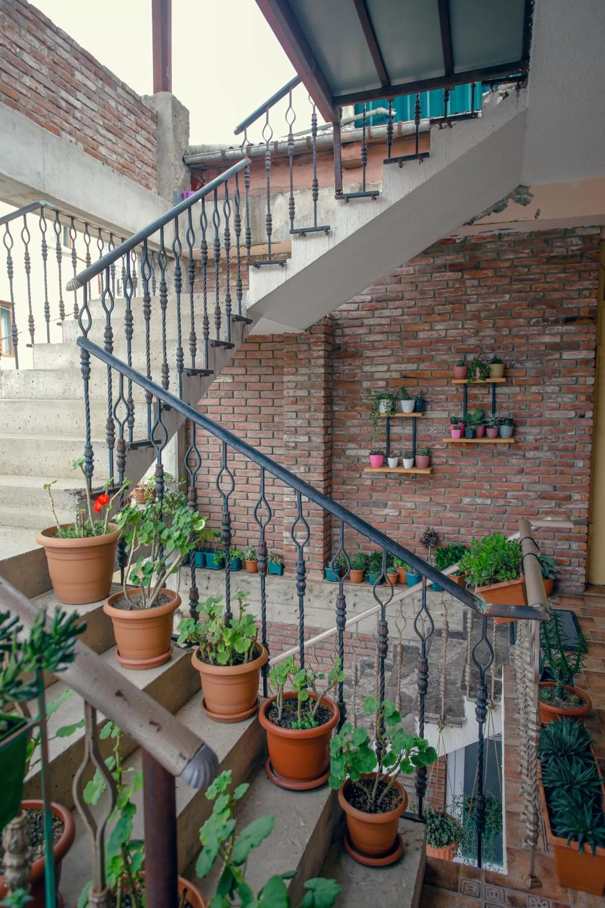 Garden in Hotel Paradise Road