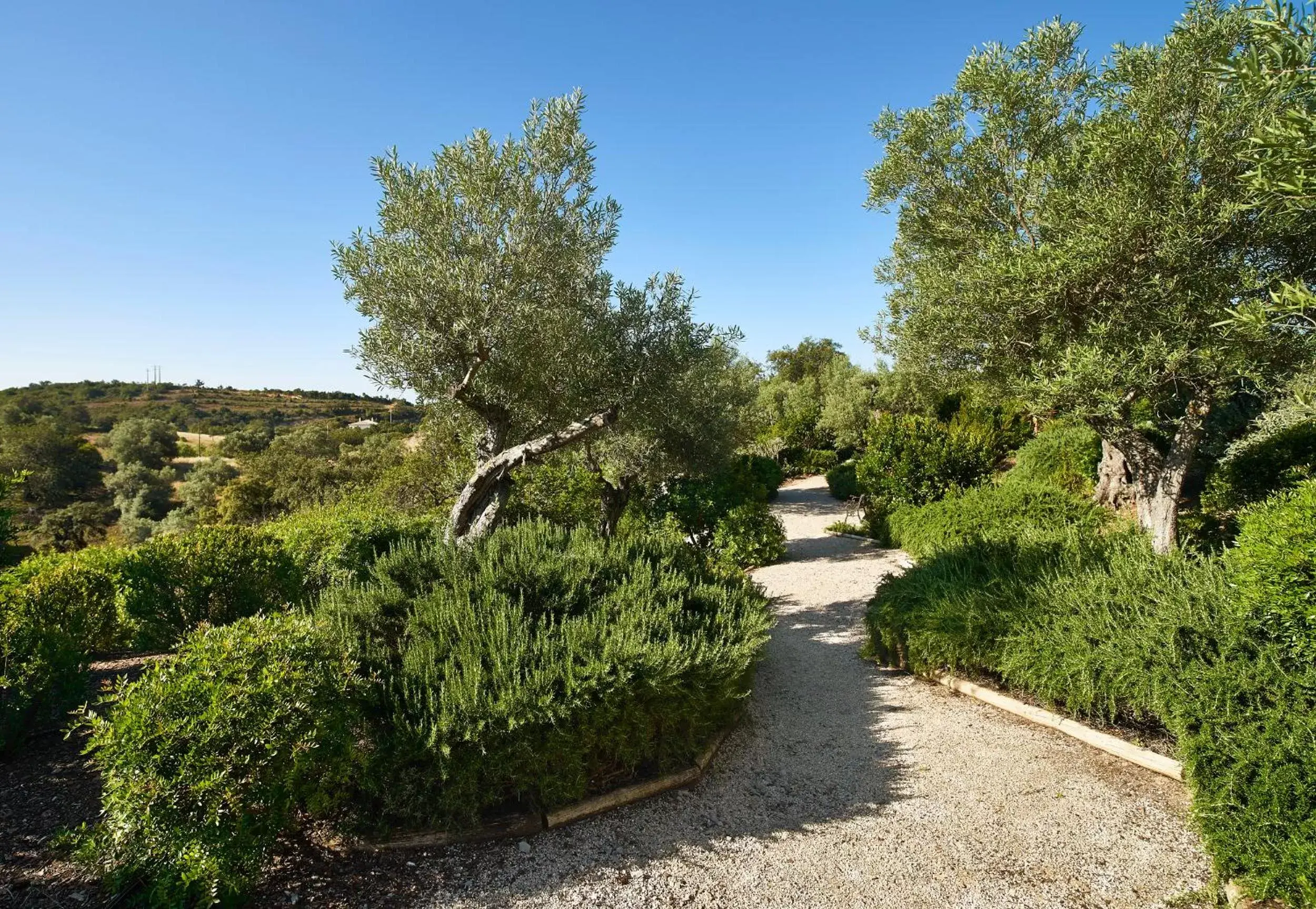 Garden view in Hotel Rural Quinta do Marco - Nature & Dining