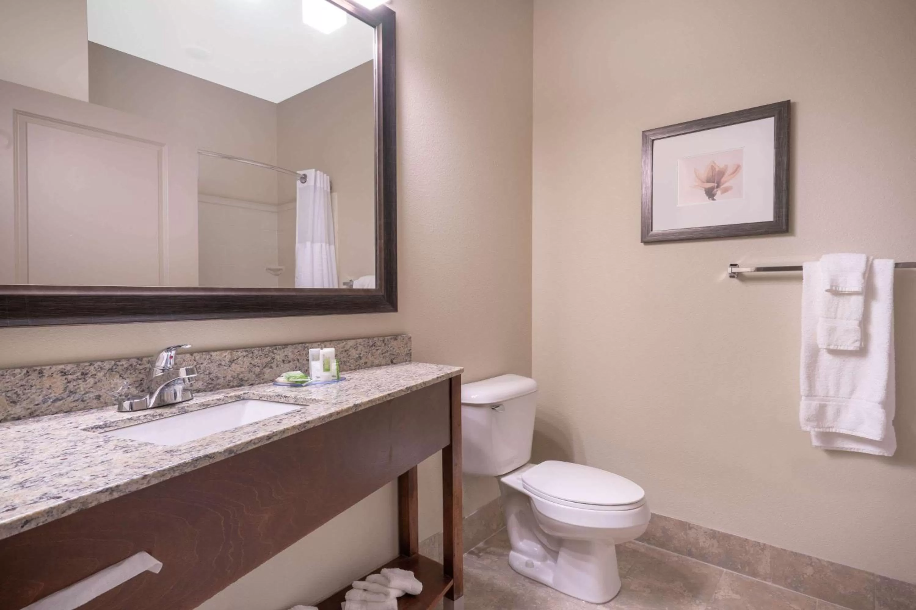 Bathroom in AmericInn by Wyndham Windom