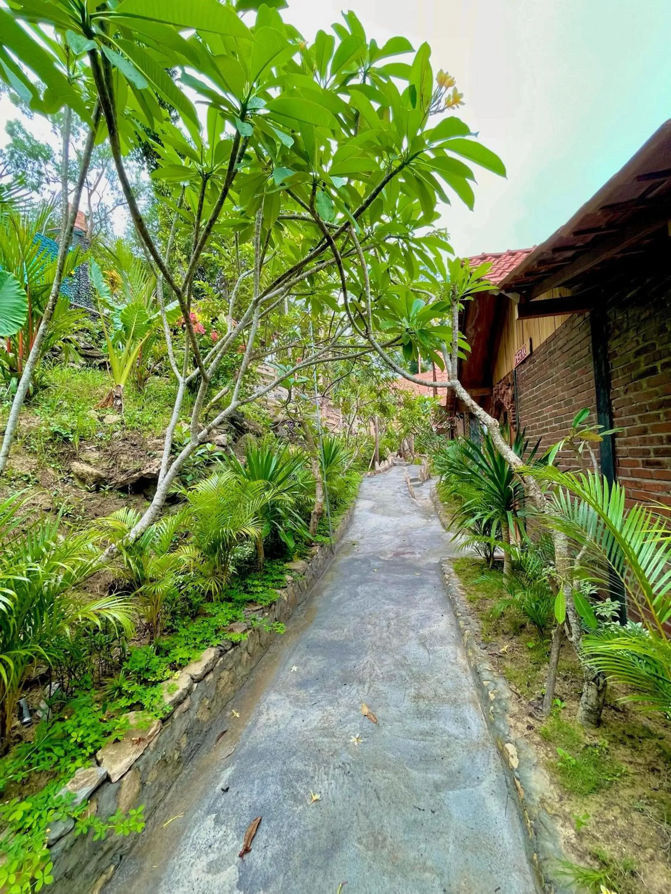 Natural landscape, Garden in Rajaklana Resort and Spa