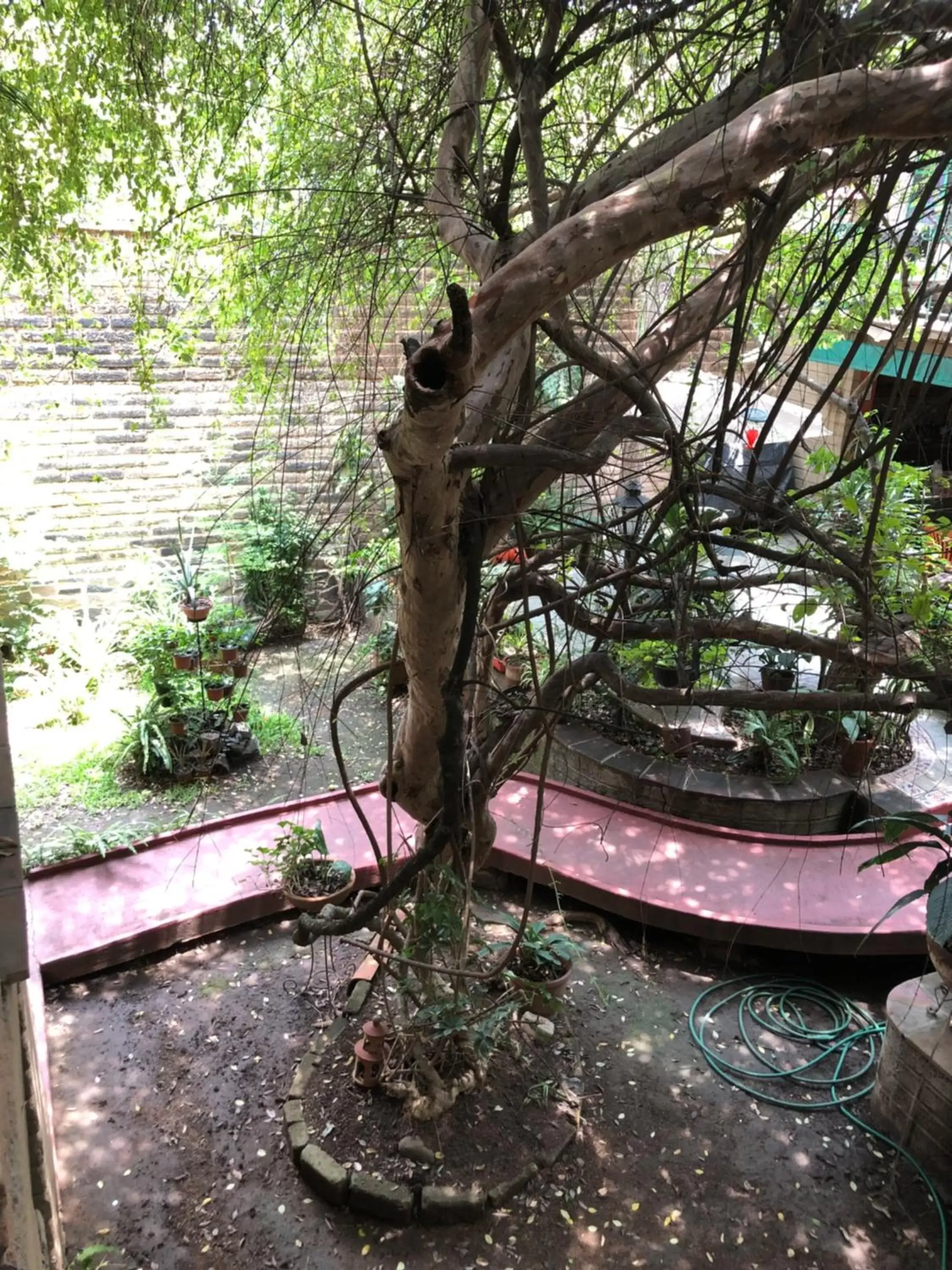 Patio in Casa del Retoño