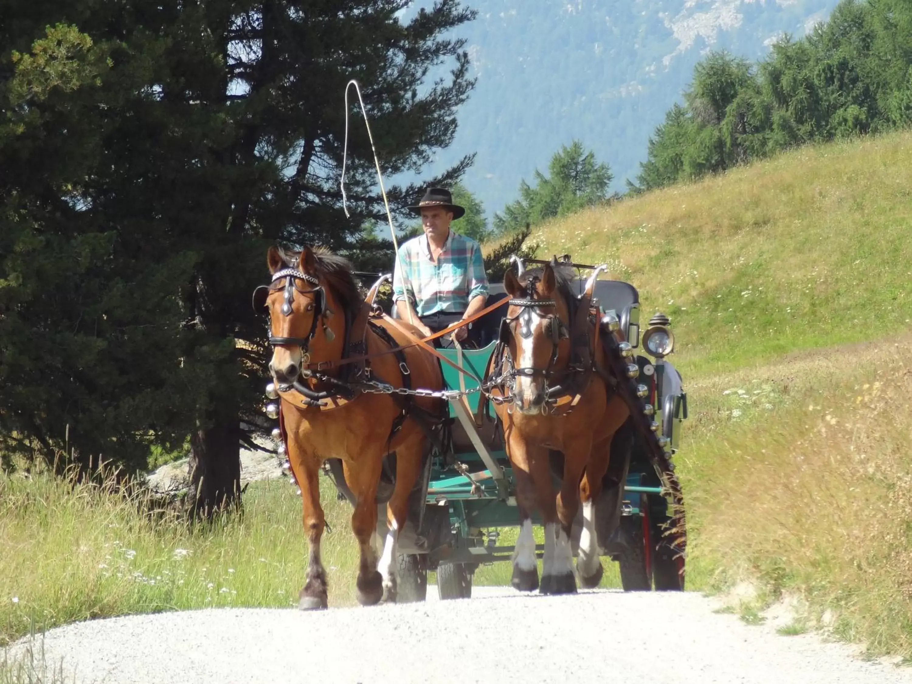 Horse-riding, Horseback Riding in Randolins Familienresort