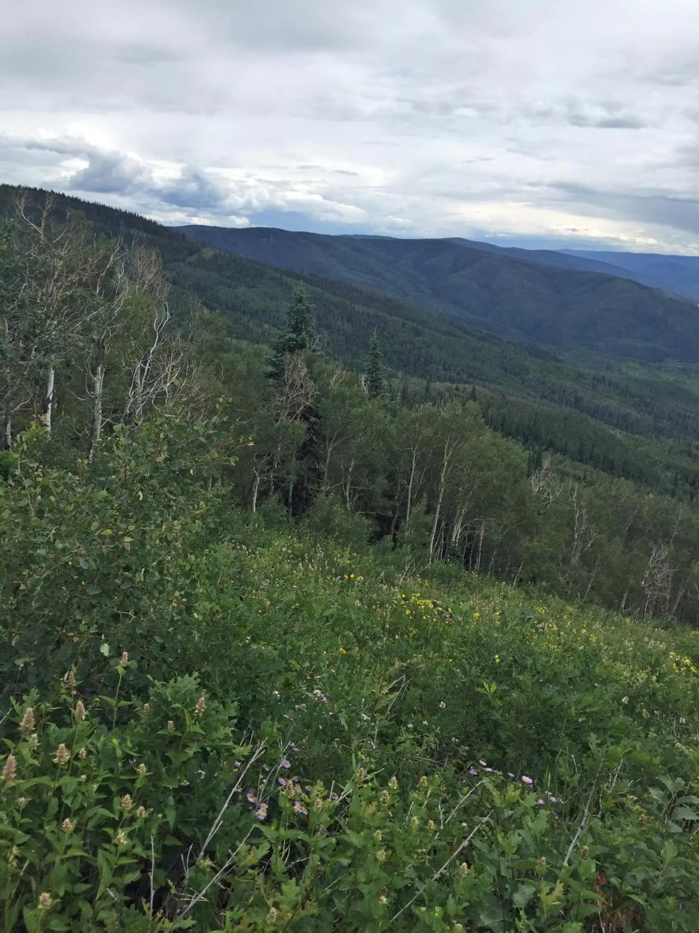 Natural Landscape in Legacy Vacation Resorts Steamboat Springs Suites