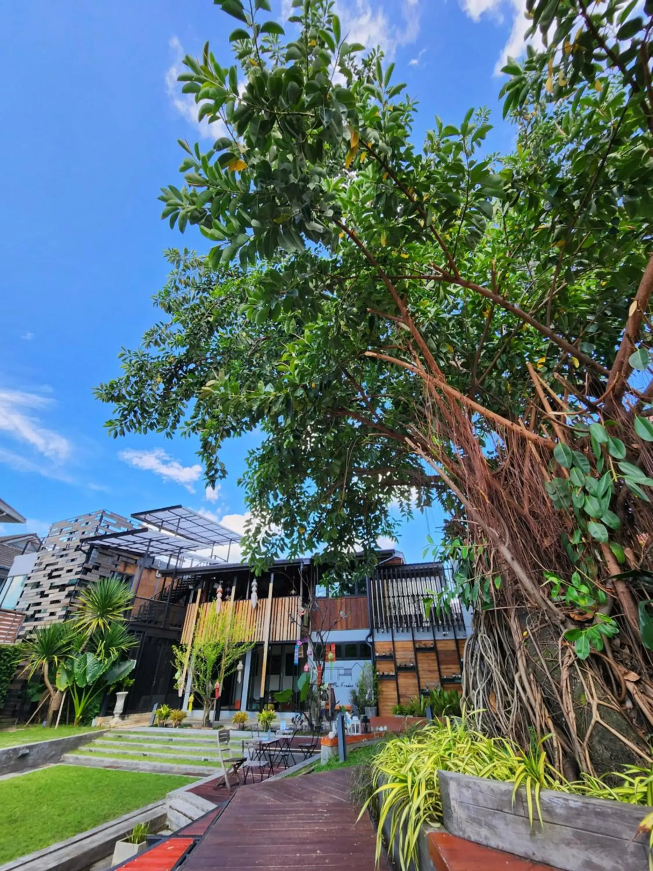 Garden, Property Building in Baan Mai Kradan