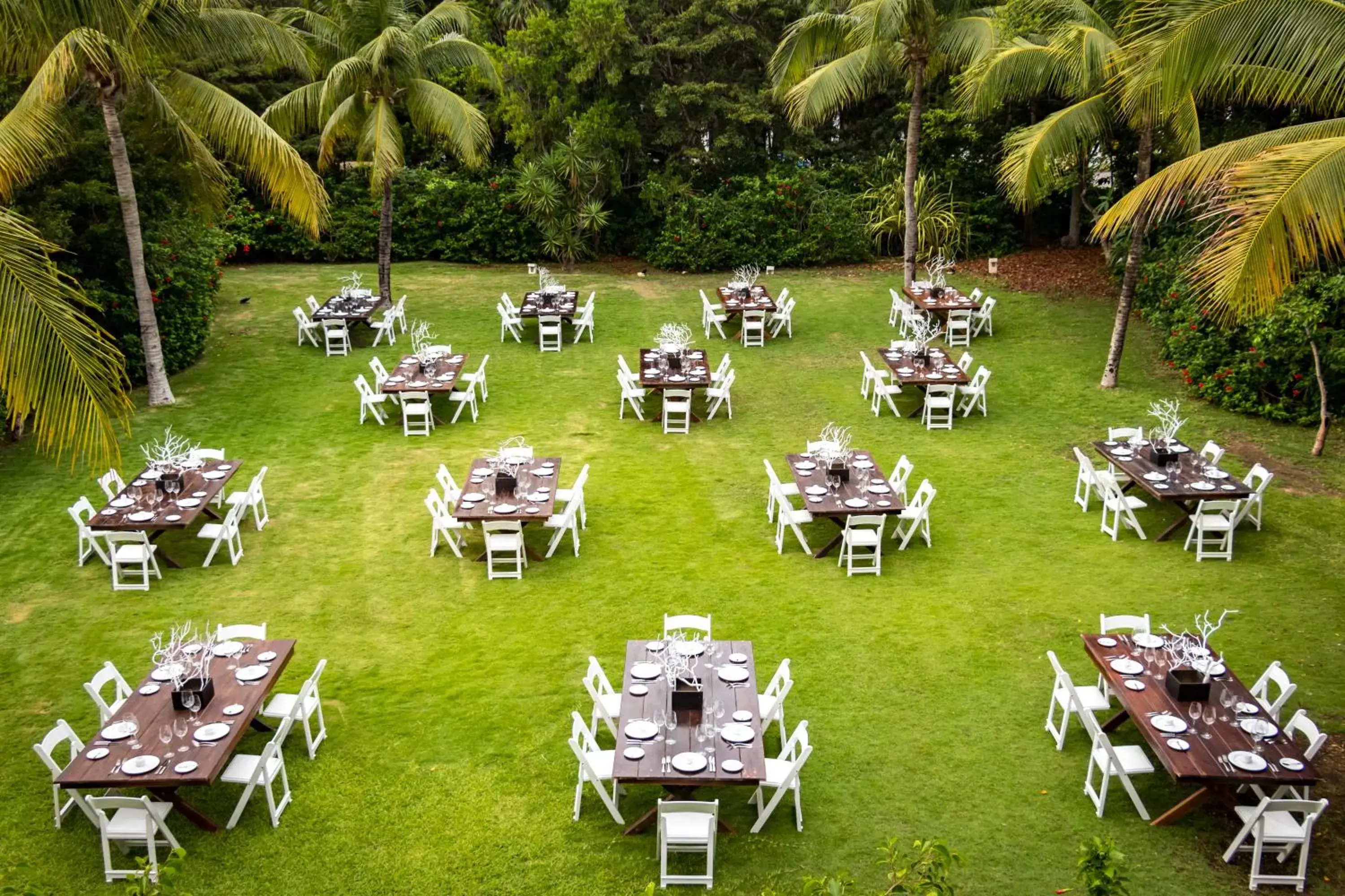 Banquet/Function facilities, Banquet Facilities in Dreams Tulum Resort & Spa
