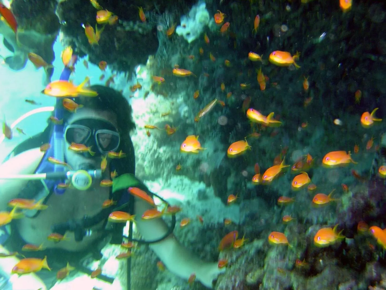 Diving in Hotel Dunas de Sal