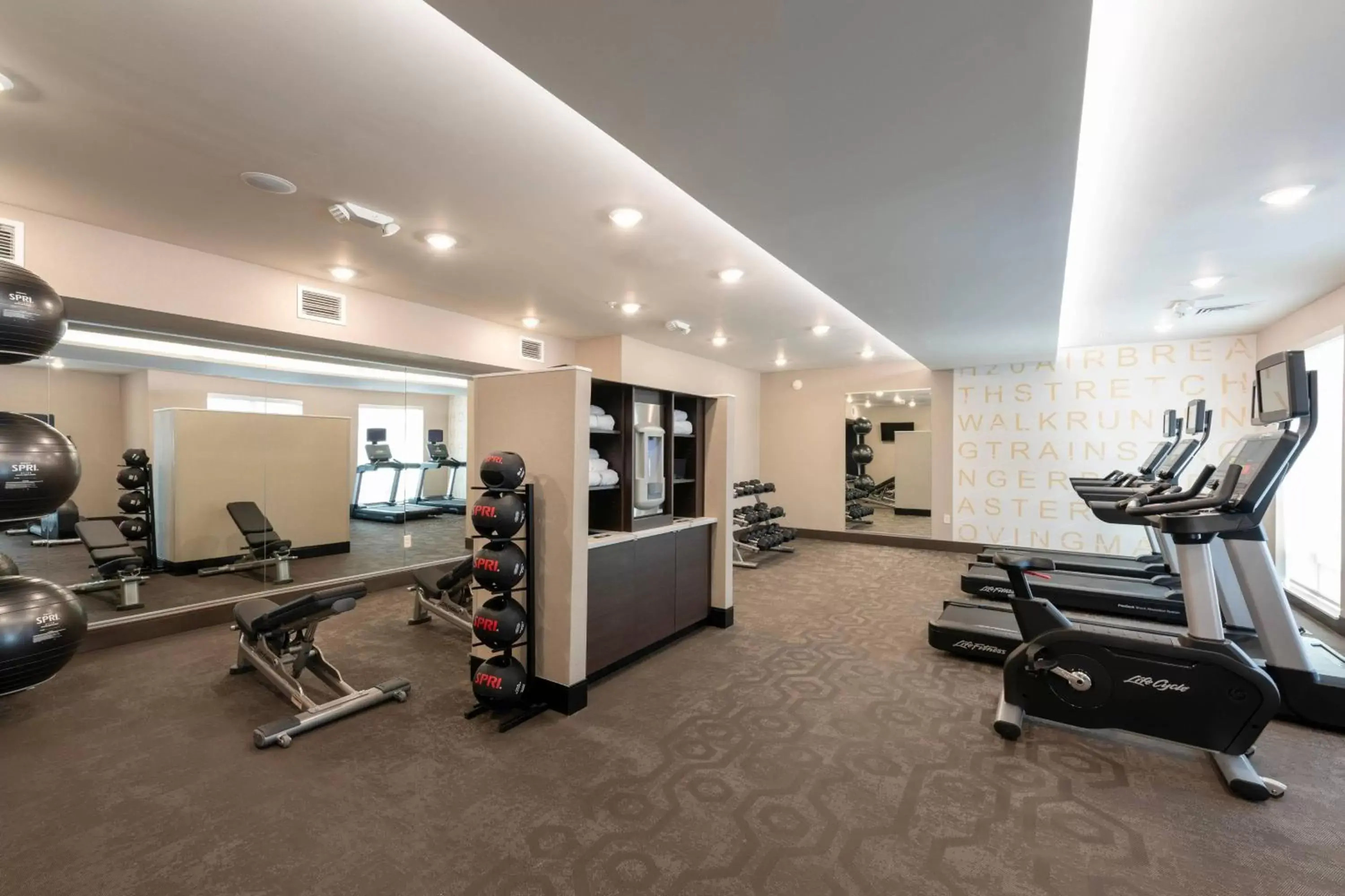 Fitness centre/facilities, Fitness Center/Facilities in Residence Inn by Marriott Indianapolis South/Greenwood