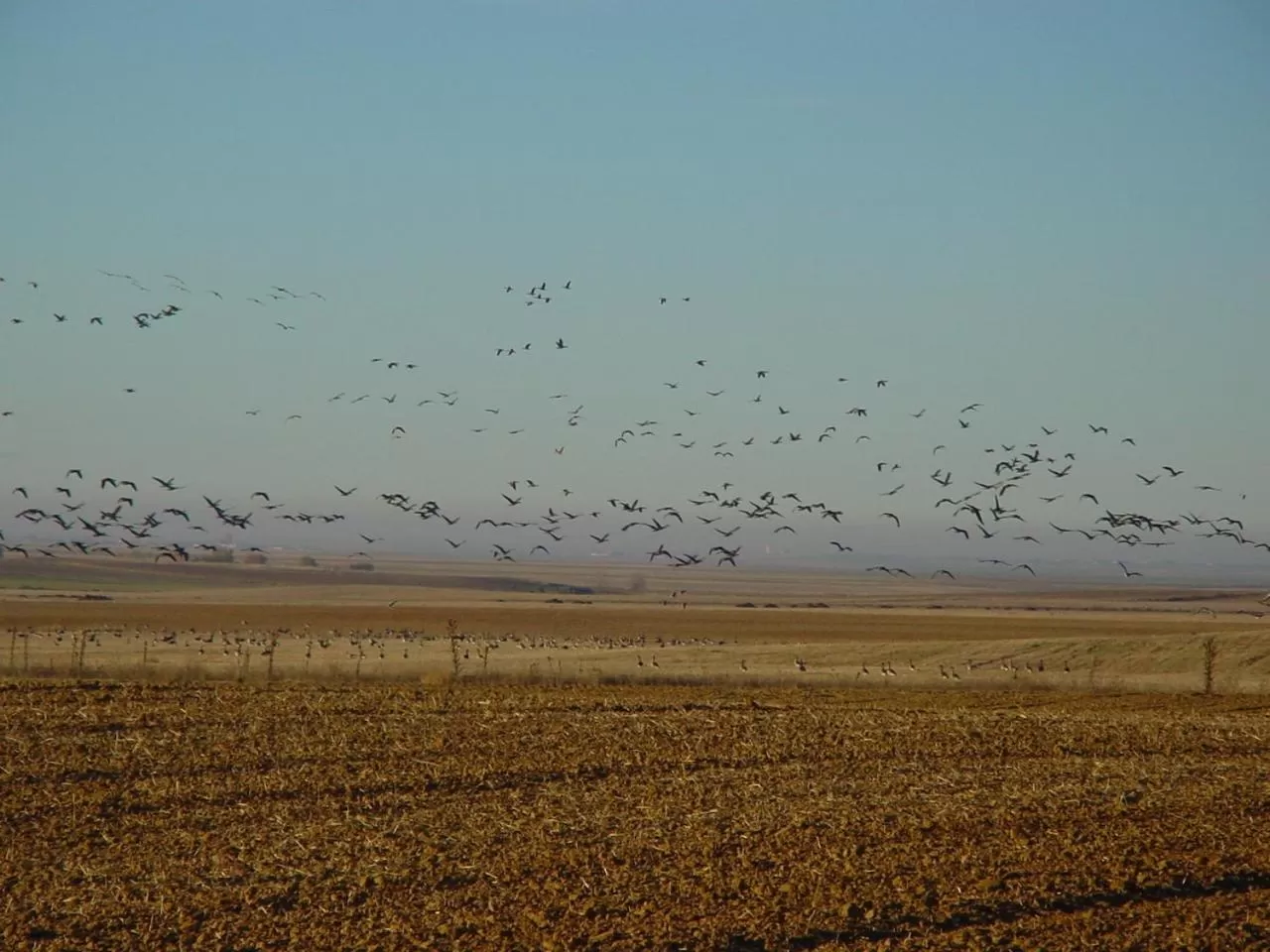 Nearby landmark, Beach in Hostal Athlanta