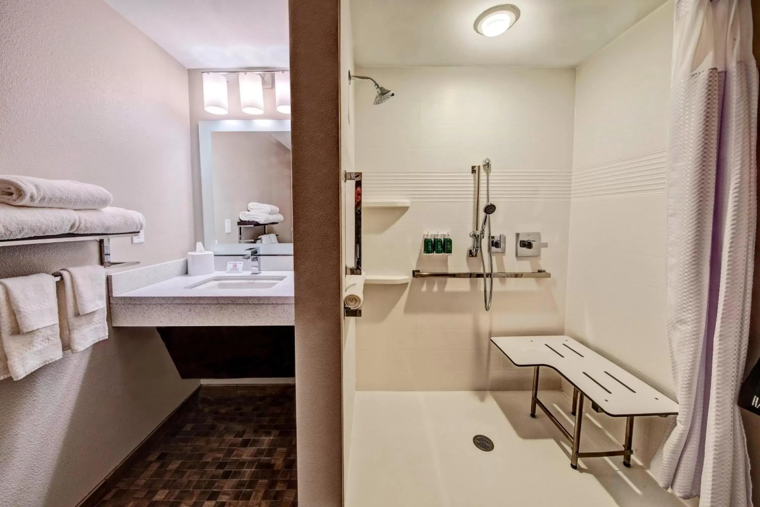 Bathroom in TownePlace Suites by Marriott Hot Springs