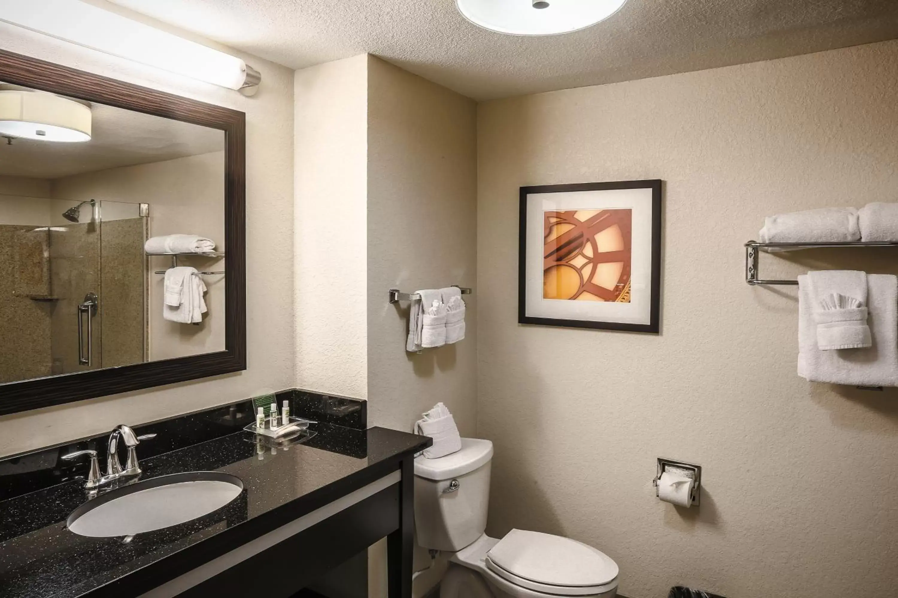 Bathroom in Holiday Inn Austin Midtown, an IHG Hotel