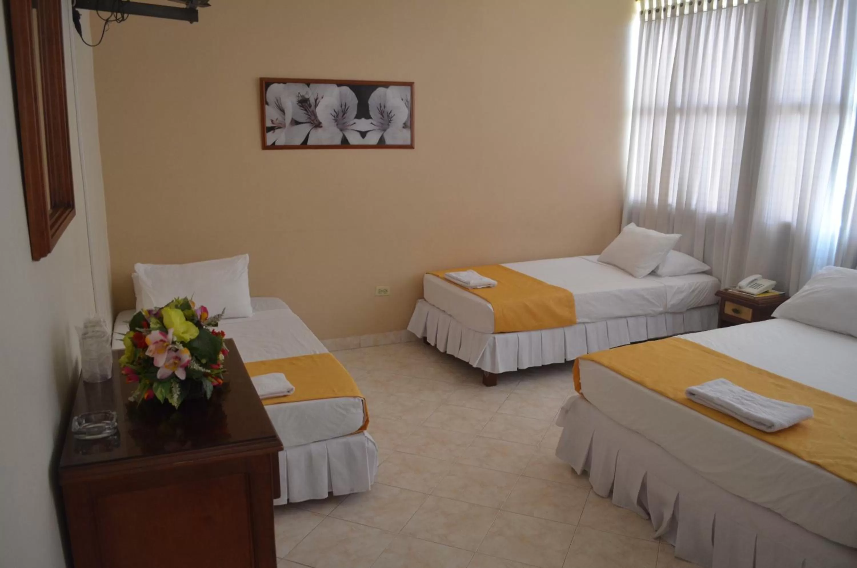 Bed in Hotel El Andino