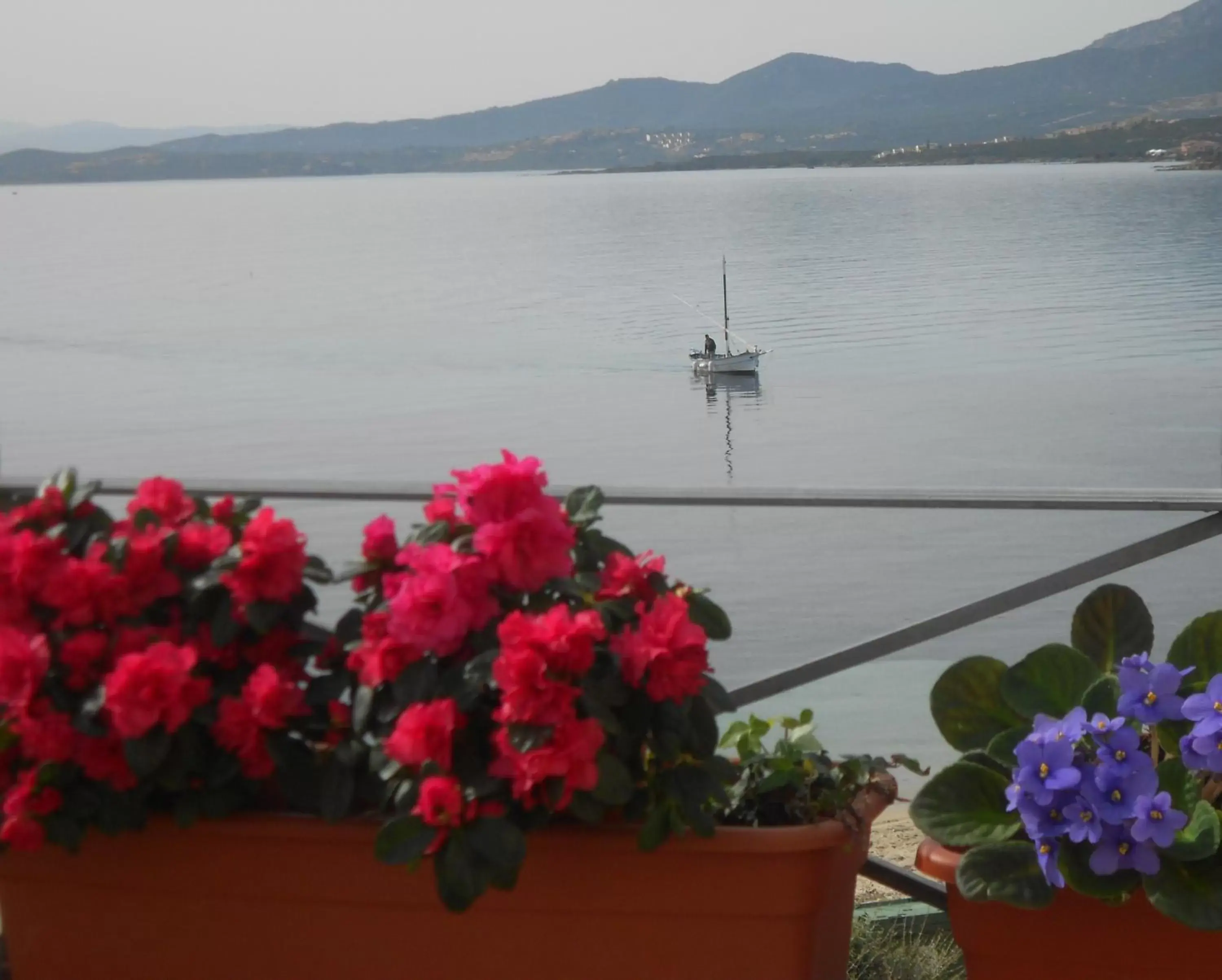 Balcony/Terrace in Hotel Tabby