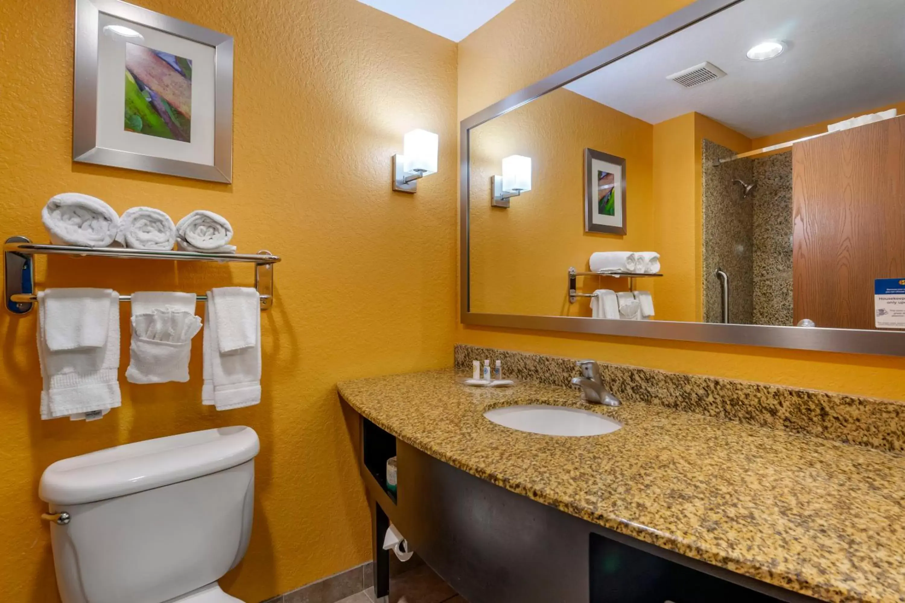 Bathroom in Comfort Suites Tampa Fairgrounds - Casino
