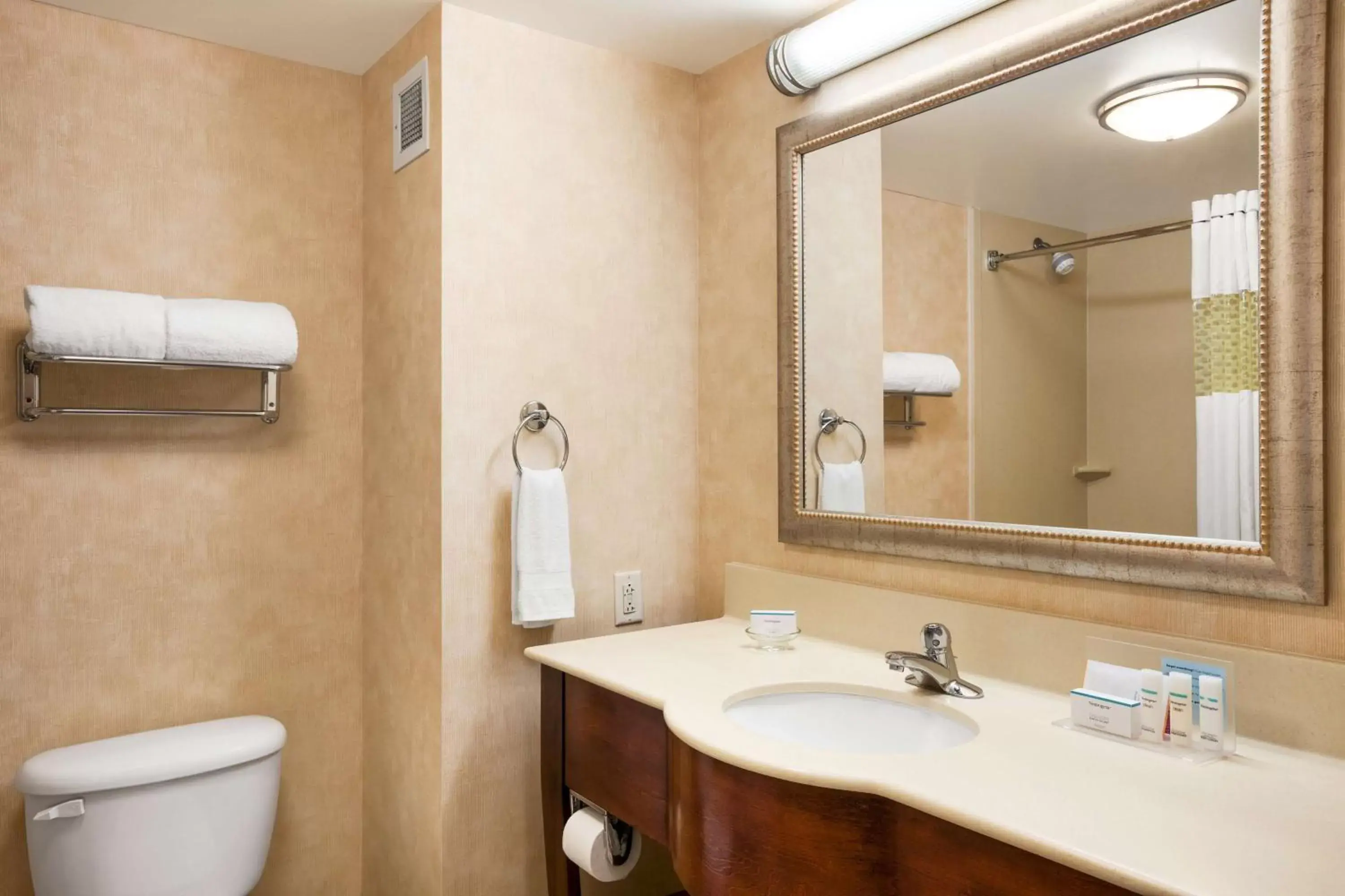 Bathroom in Hampton Inn Geneva Bathroom in Hampton Inn Geneva