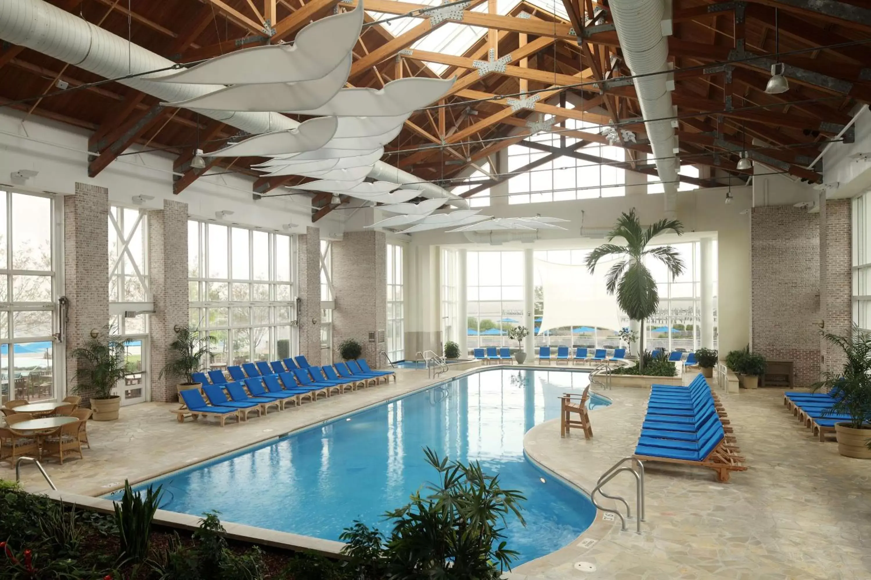 Swimming Pool in Hyatt Regency Chesapeake Bay Golf Resort, Spa & Marina