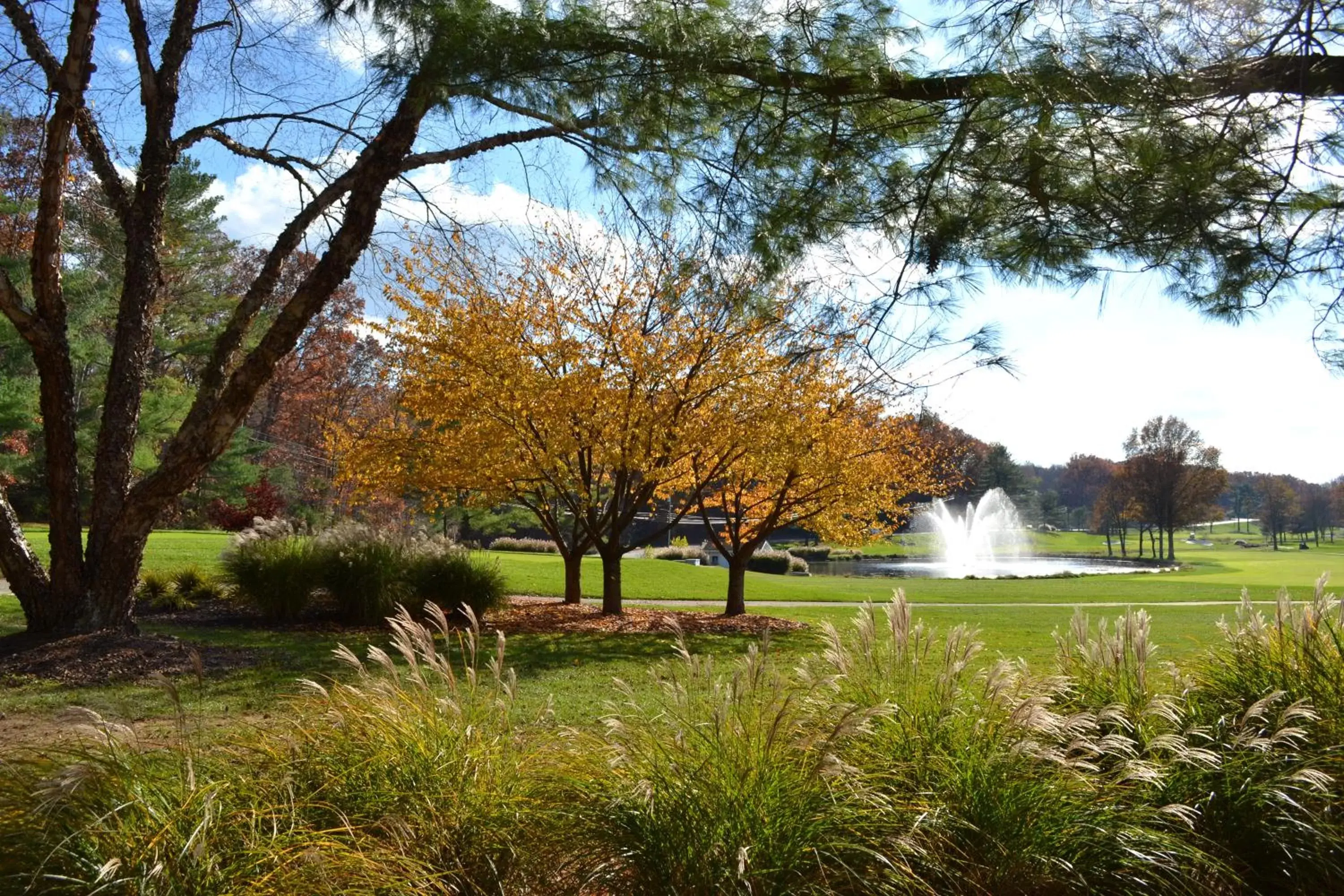 Garden in Turf Valley Resort