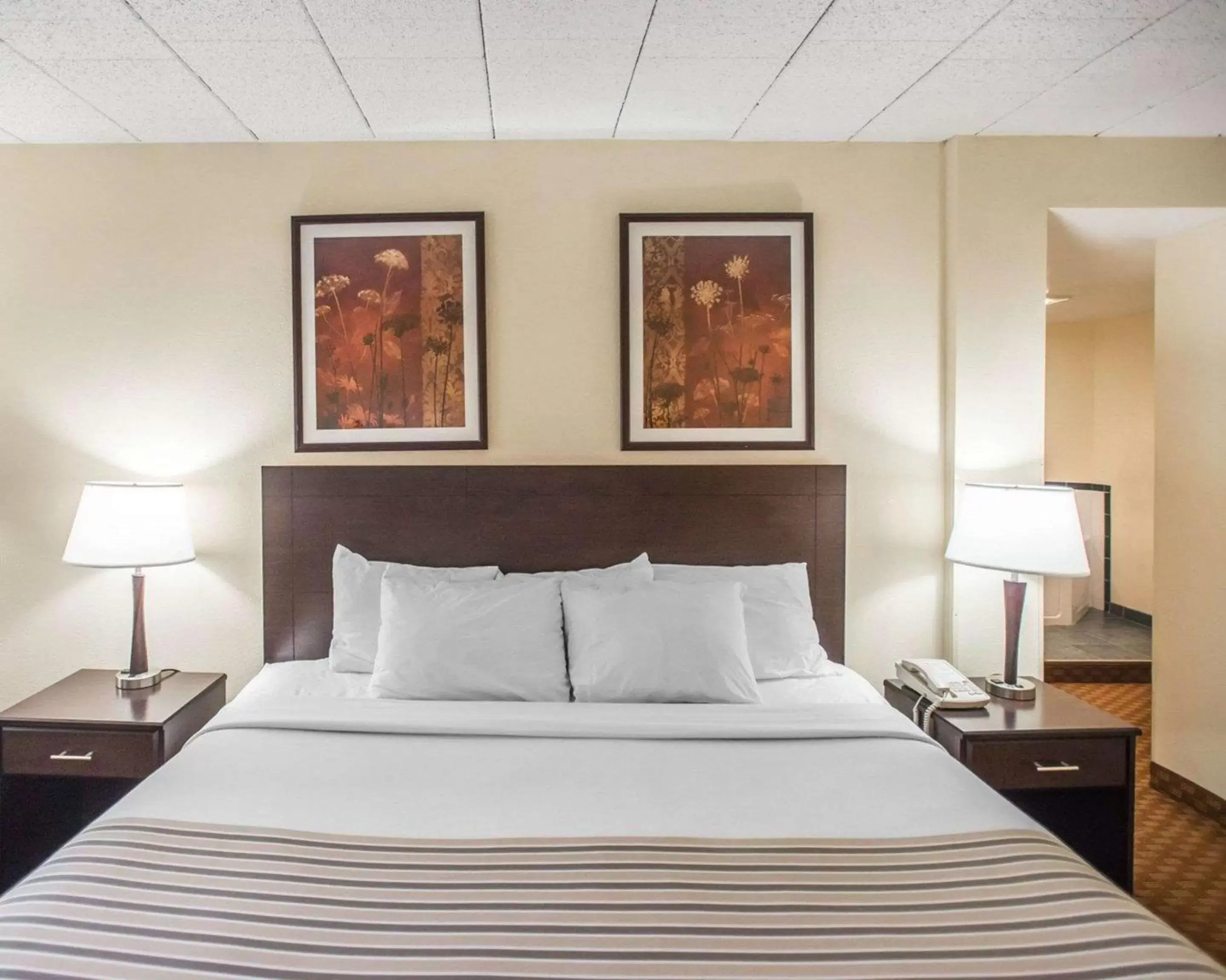 Photo of the whole room, Bed in Econo Lodge Inn & Suites Shamokin Dam - Selinsgrove