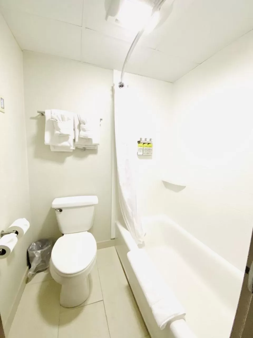 One-Bedroom Suite in Holiday Inn Express & Suites - Albany Airport - Wolf Road, an IHG Hotel