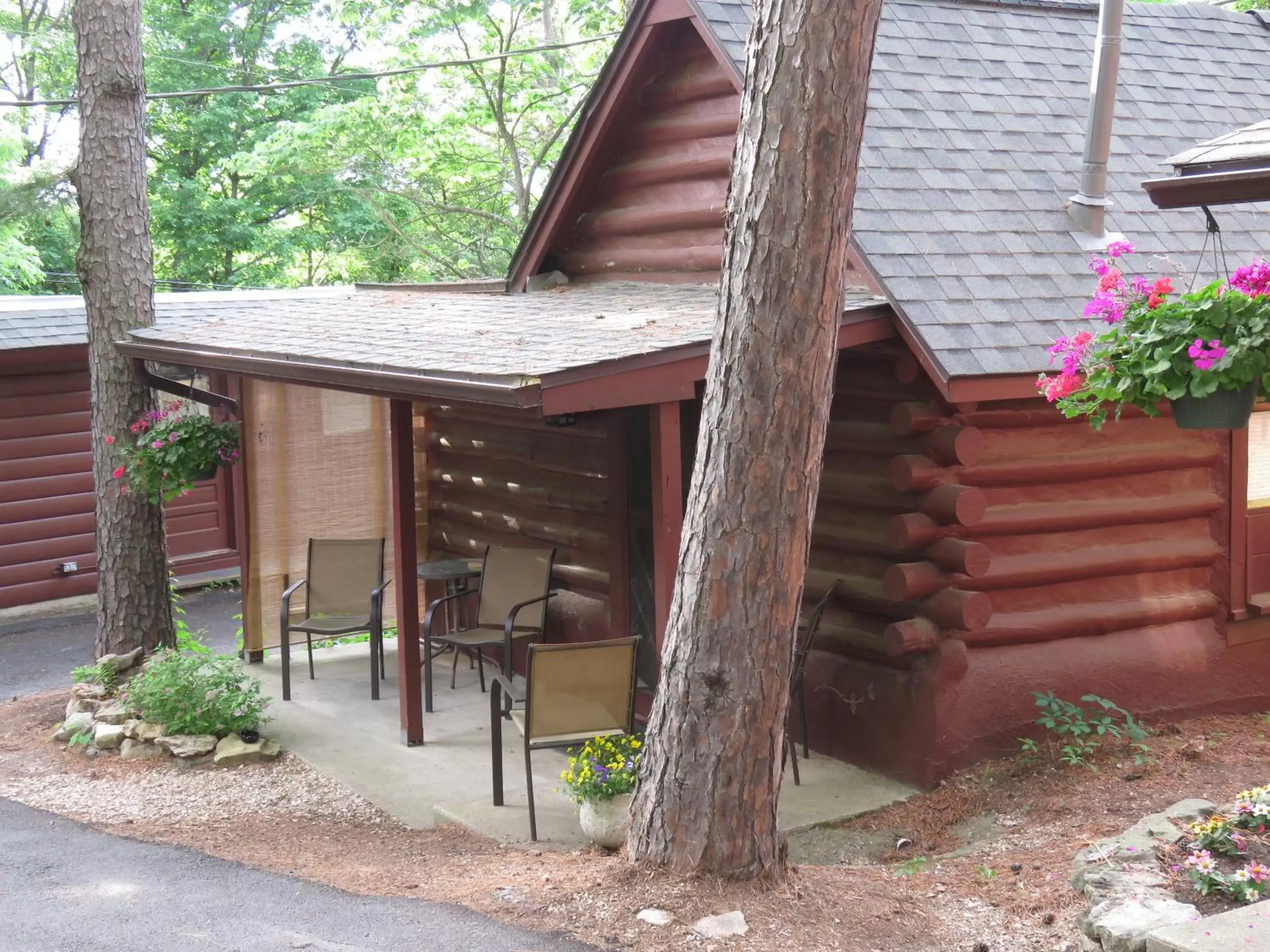 Property building in Tall Pines Inn