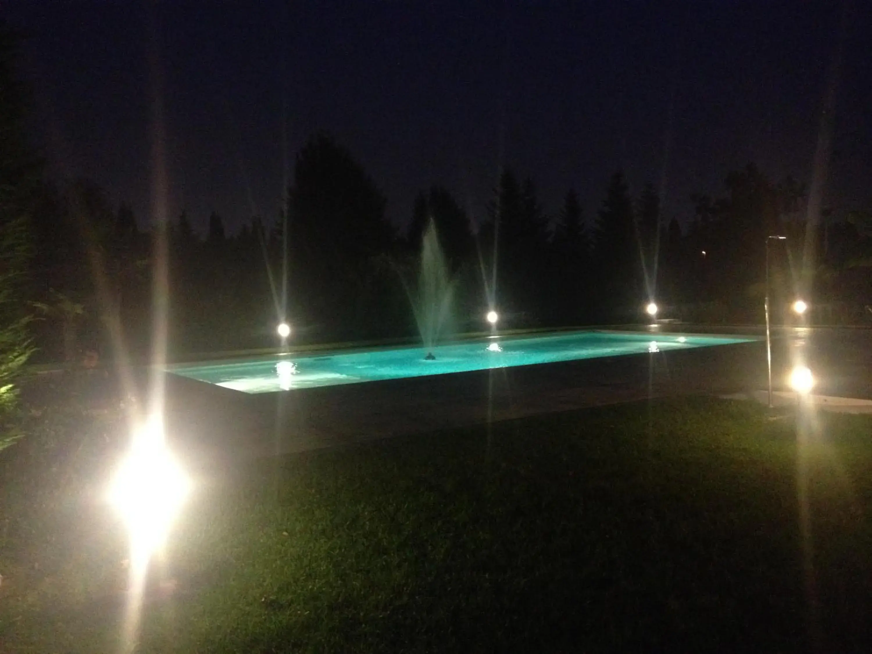 Pool view, Swimming Pool in Park Hotel Elefante