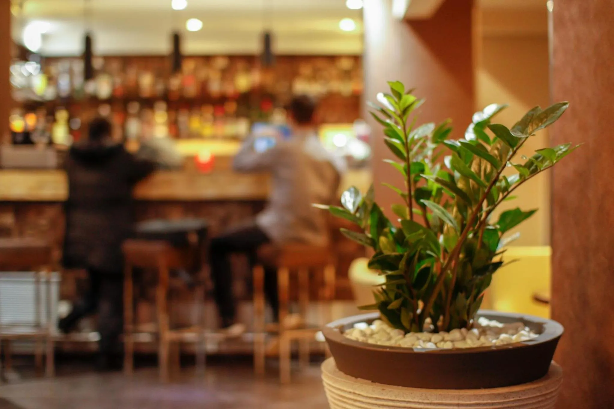 Drinks in Athens Choice Hotel