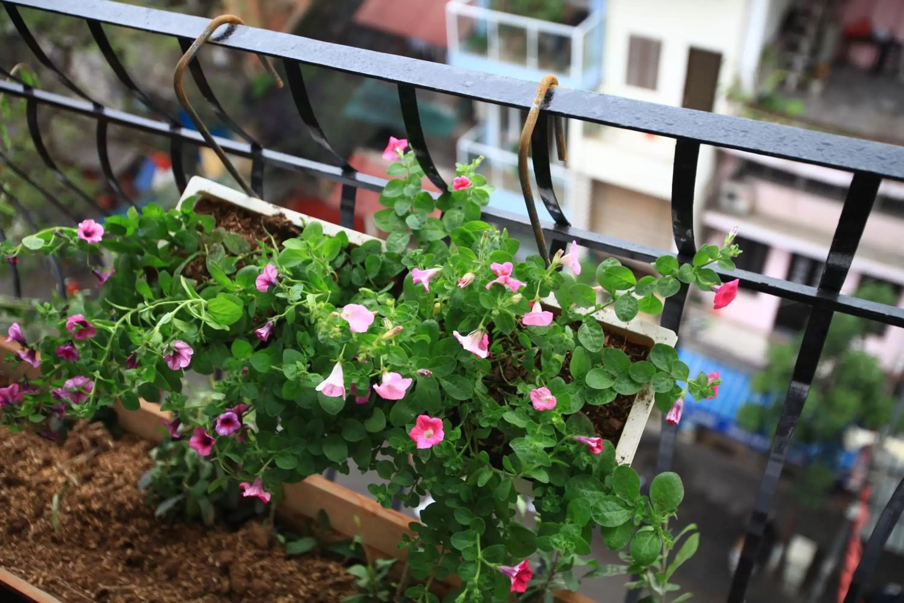 Balcony/Terrace in Mercury Central Hotel Hanoi