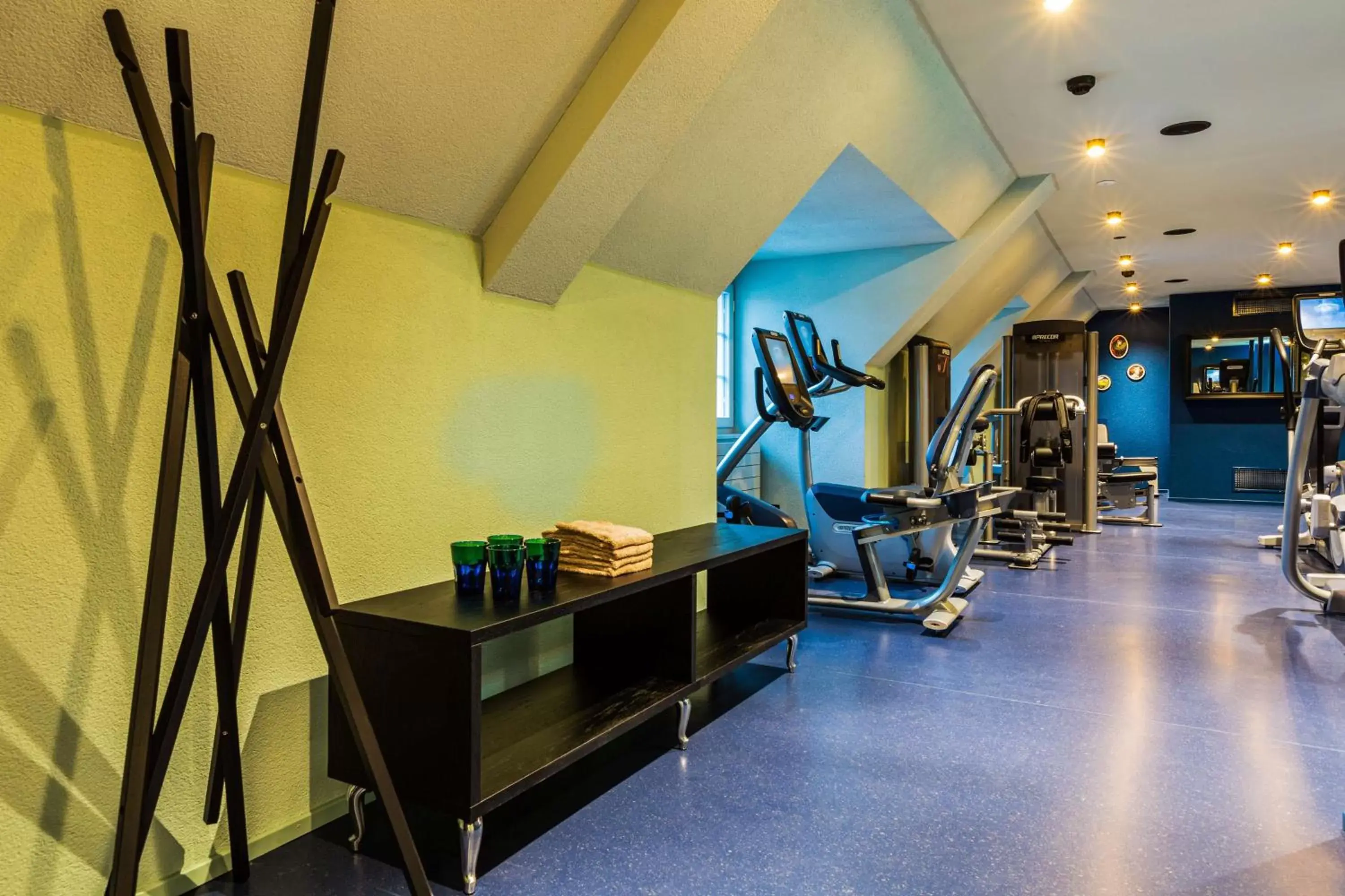 Fitness centre/facilities, Fitness Center/Facilities in NH Bern The Bristol