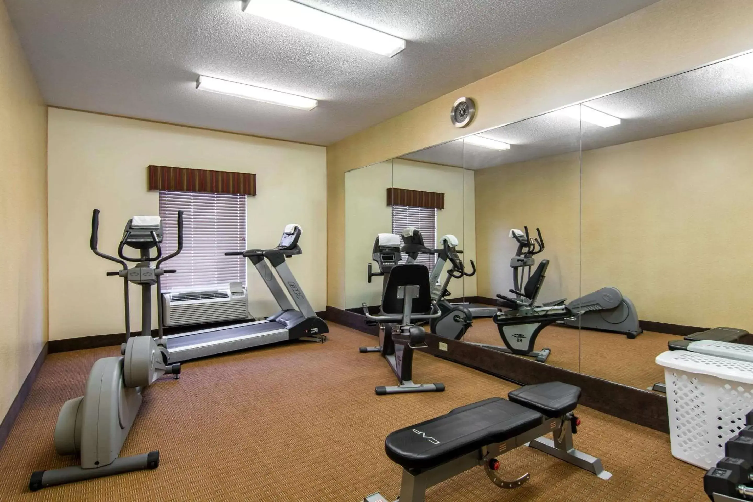 Fitness centre/facilities, Fitness Center/Facilities in Sleep Inn & Suites near Fort Gregg-Adams