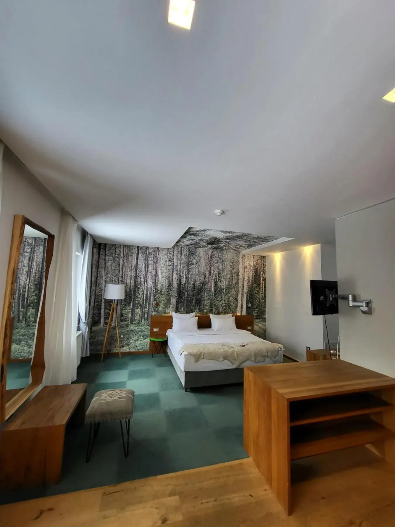 Photo of the whole room in Pino Nature Hotel