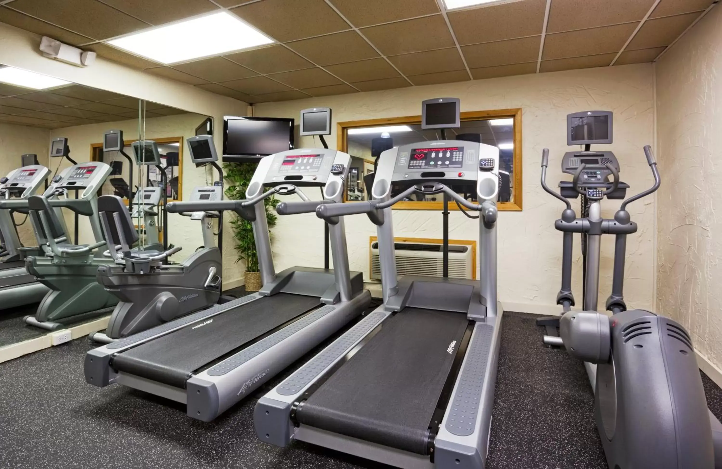 Fitness centre/facilities in Holiday Inn Alexandria by IHG Fitness centre/facilities in Holiday Inn Alexandria by IHG