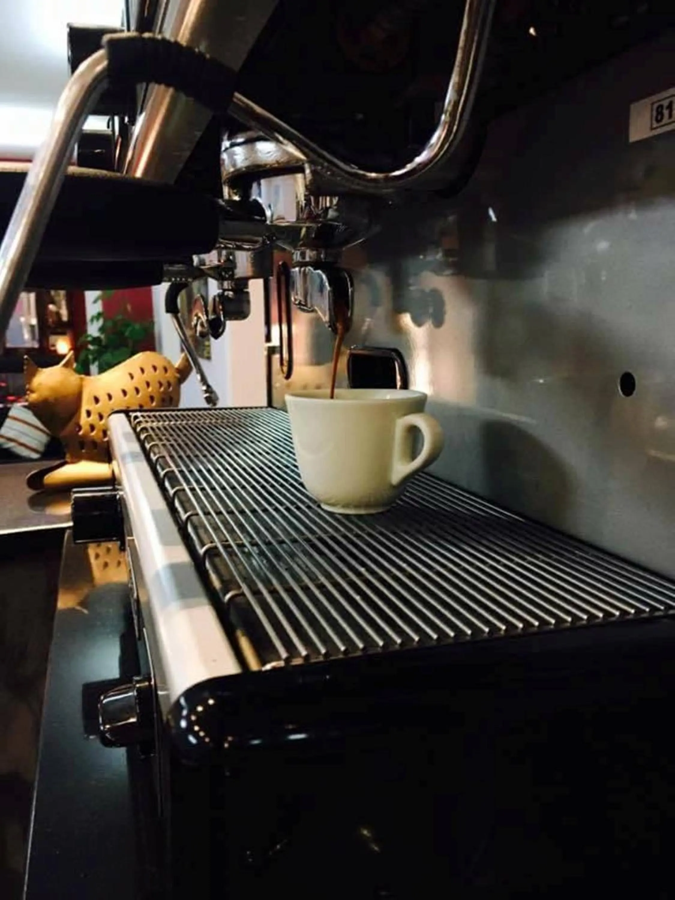 Food and drinks in Hotel La Terrazza