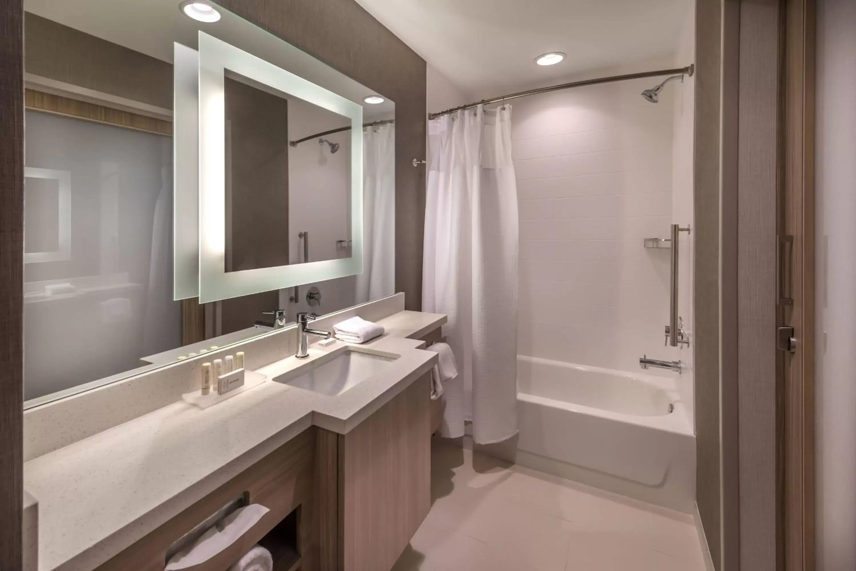 Bathroom in SpringHill Suites by Marriott Reno