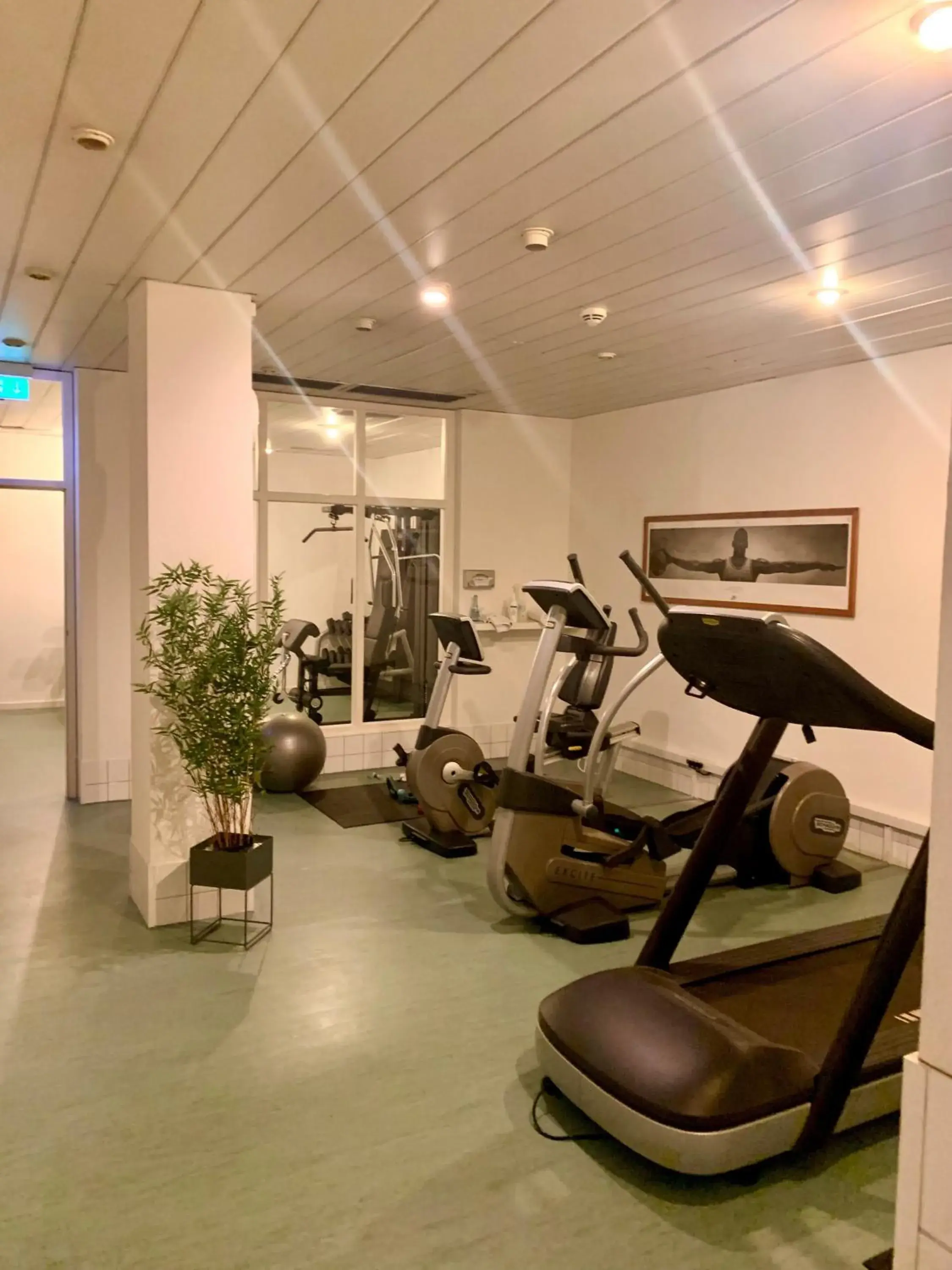 Fitness centre/facilities, Fitness Center/Facilities in Hotel Ambiente Walldorf